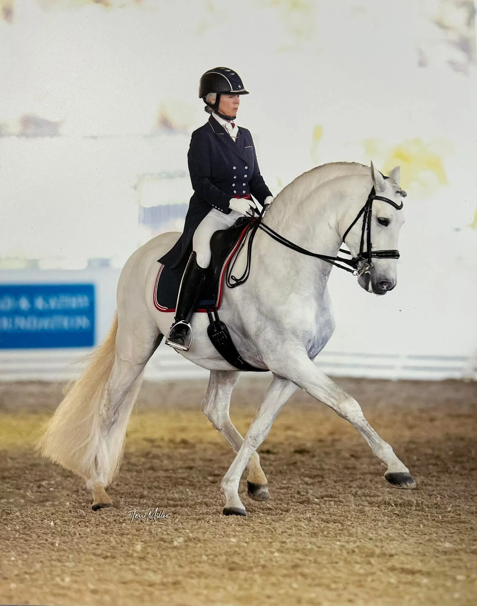 Ride with Laurie Falvo — Dressage Clinic