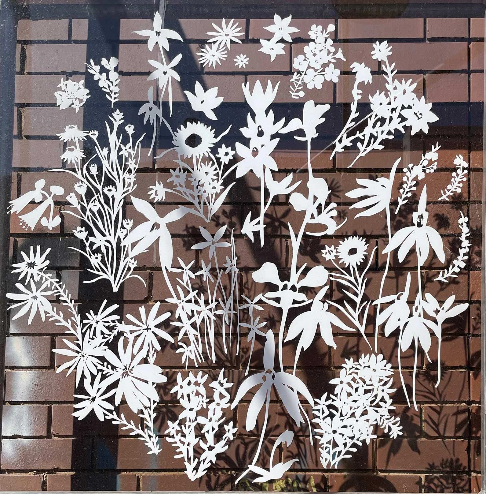 Yirrip (Ironbark)