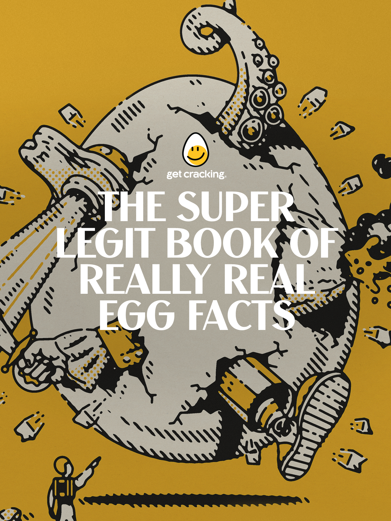 The Super Legit Book
