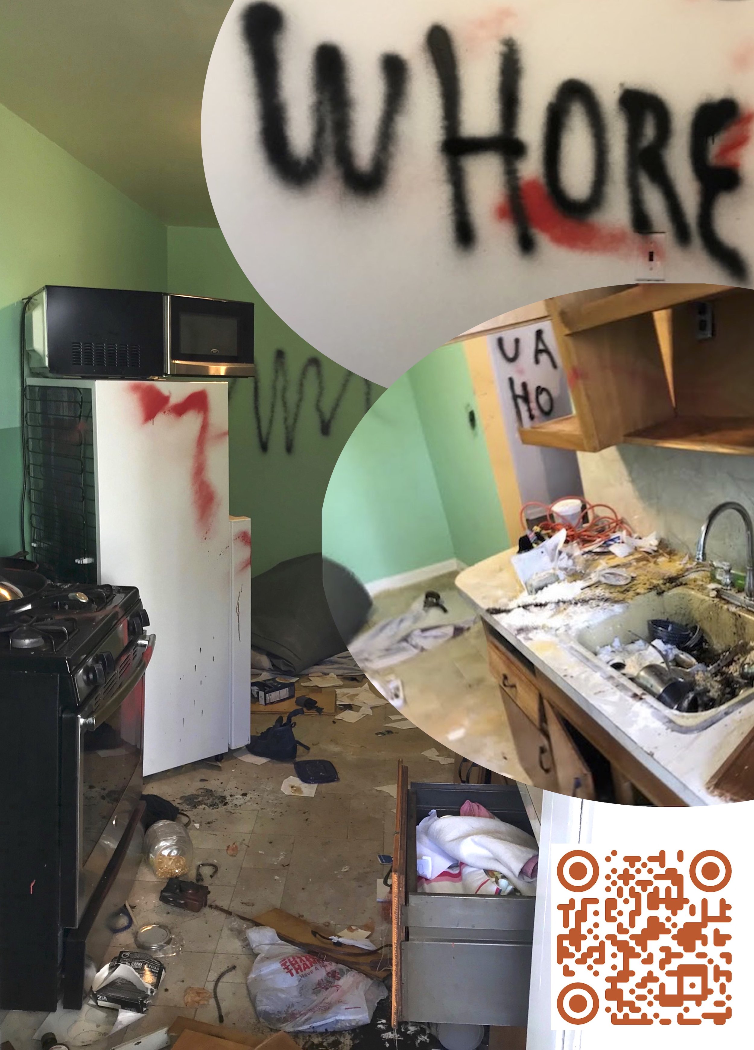 Destruction Poster Coercive Control.jpg