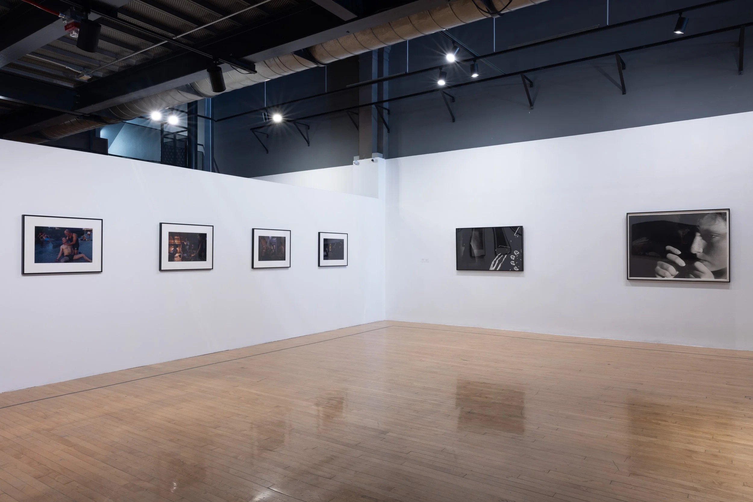 Eileen Cowin and Jonesy, Telling Them Apart Installation View, UCR Arts, Riverside, CA 2024.