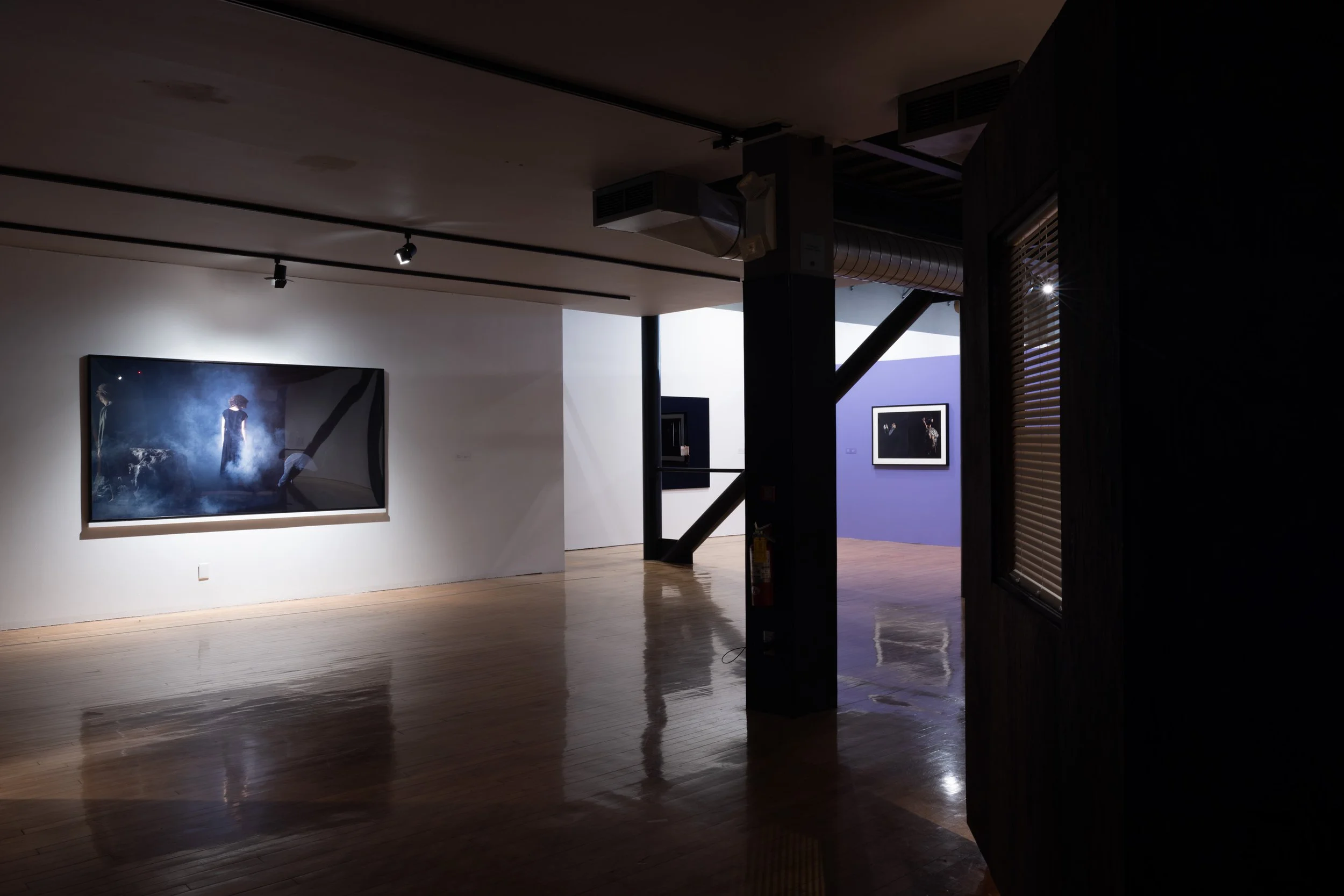 Eileen Cowin and Jonesy, Telling Them Apart Installation View, UCR Arts, Riverside, CA 2024.