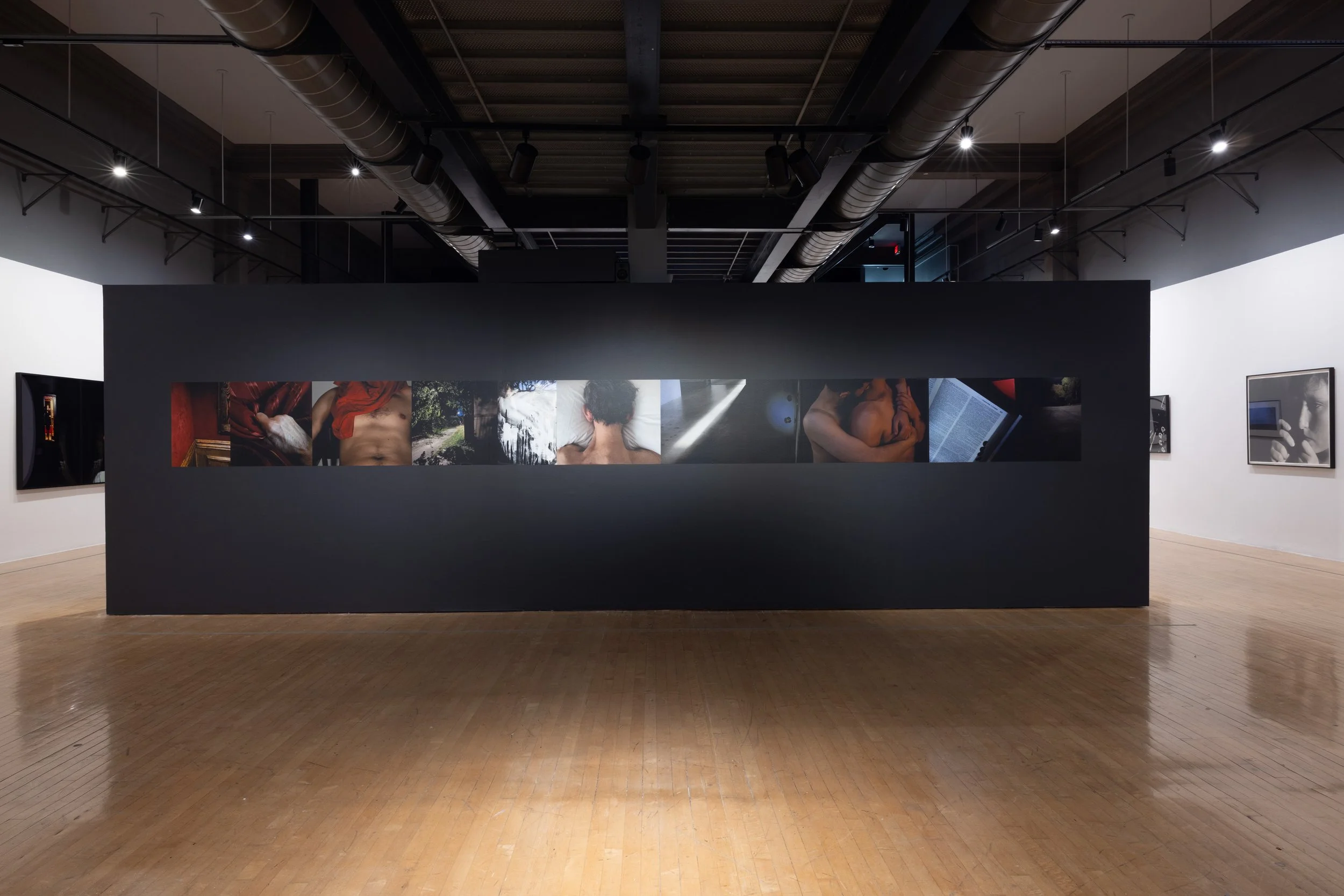 Eileen Cowin and Jonesy, Too Soon To Tell, Vinyl Wallpaper, UCR Arts, Riverside, CA 2024.