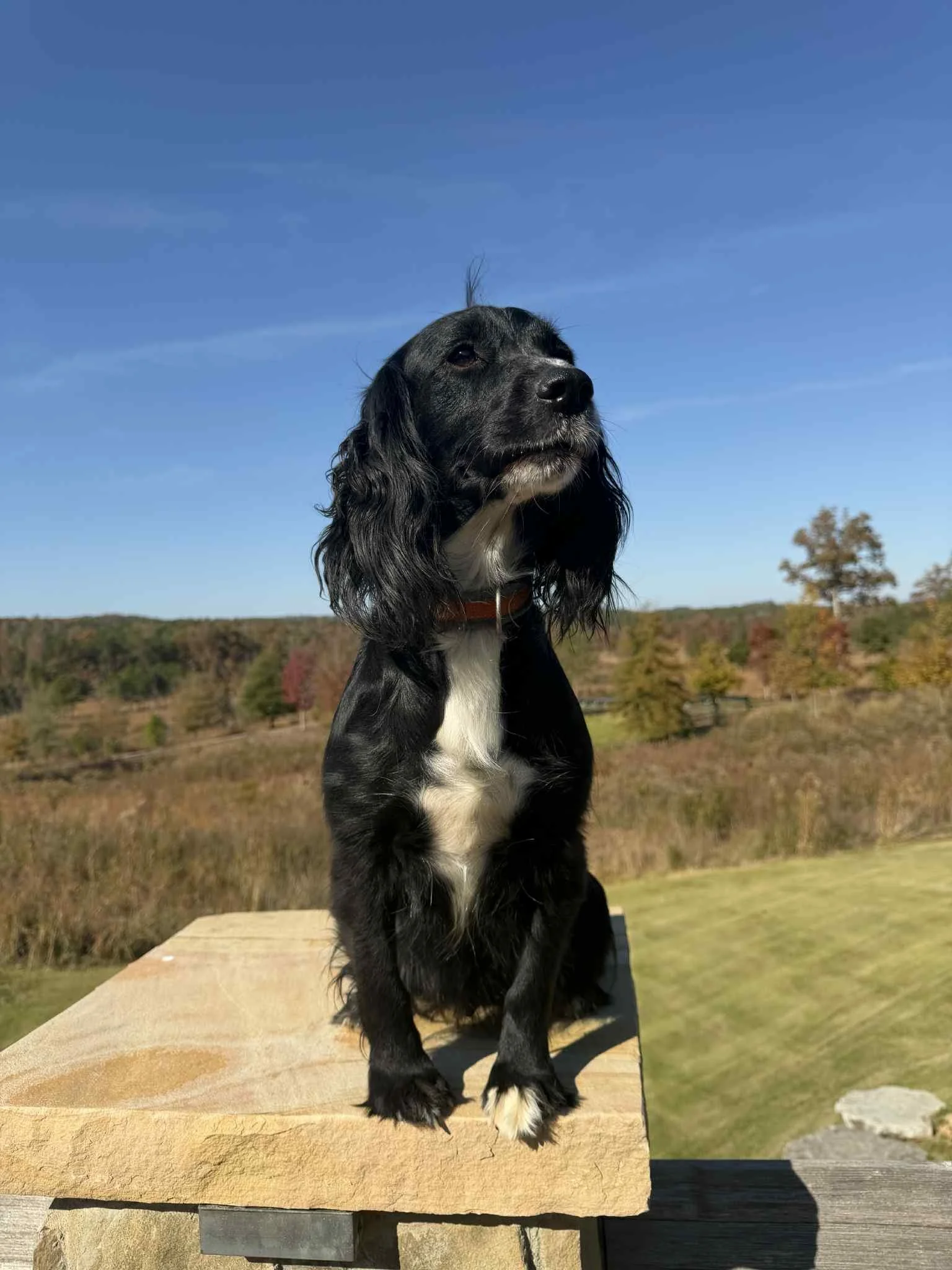 f9dfc011-5a07-4b7d-a7fa-86dc6cb52468.jfif