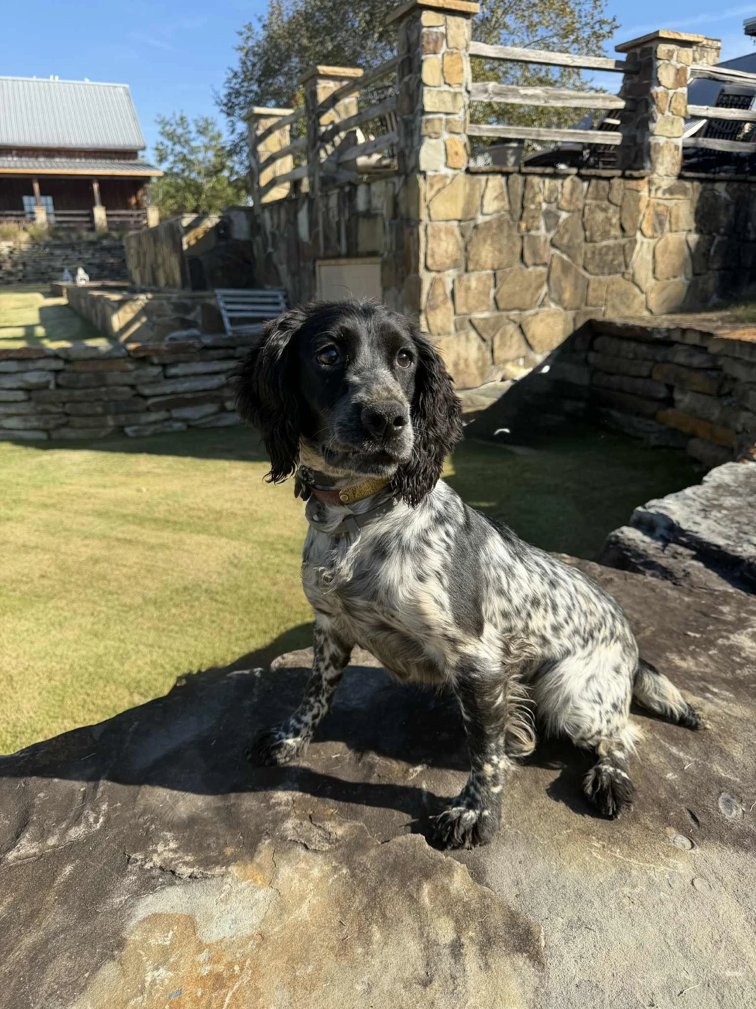 f9f9b103-54f2-41ed-bff9-da61996bcc78.jfif