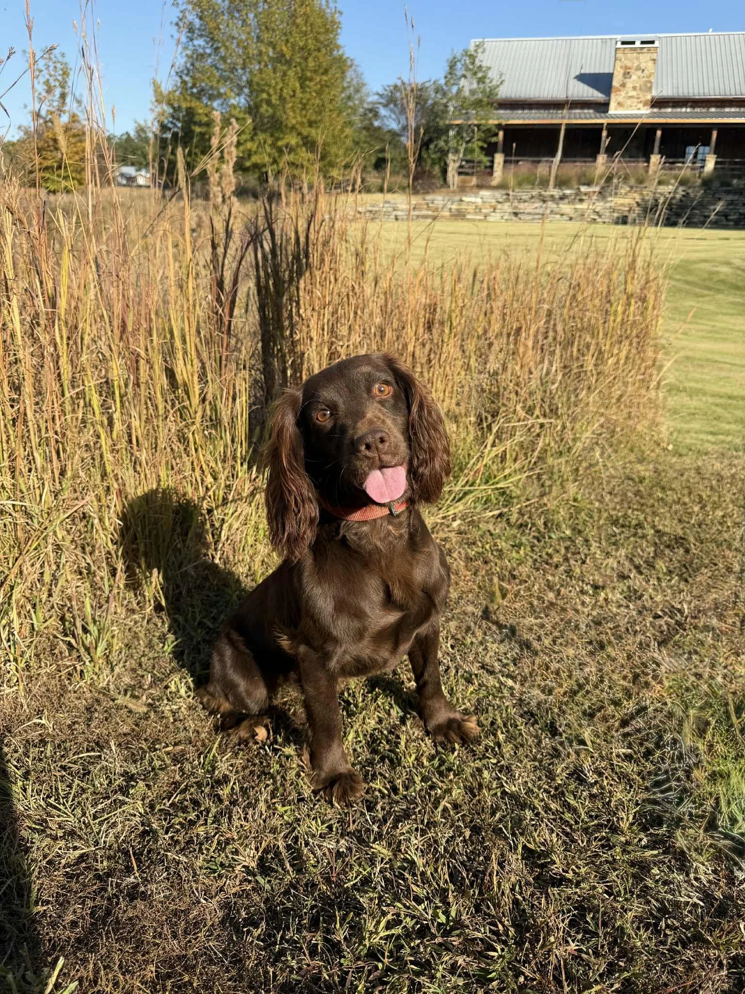 ac37b1cb-c8fe-4551-91e9-d0f247fadc48.jfif