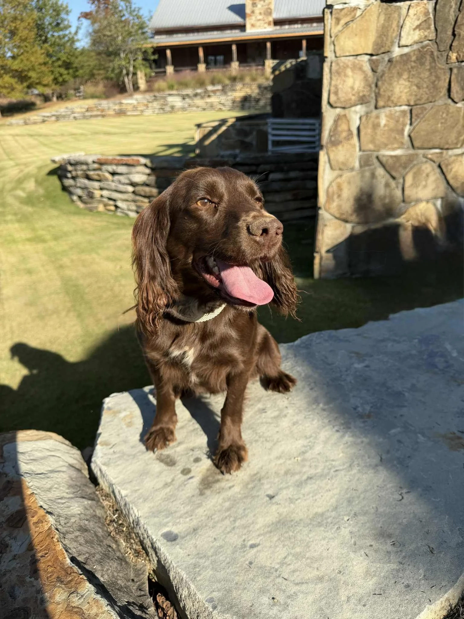 82720f24-5a8a-49cd-a139-af81d9cf8c76.jfif