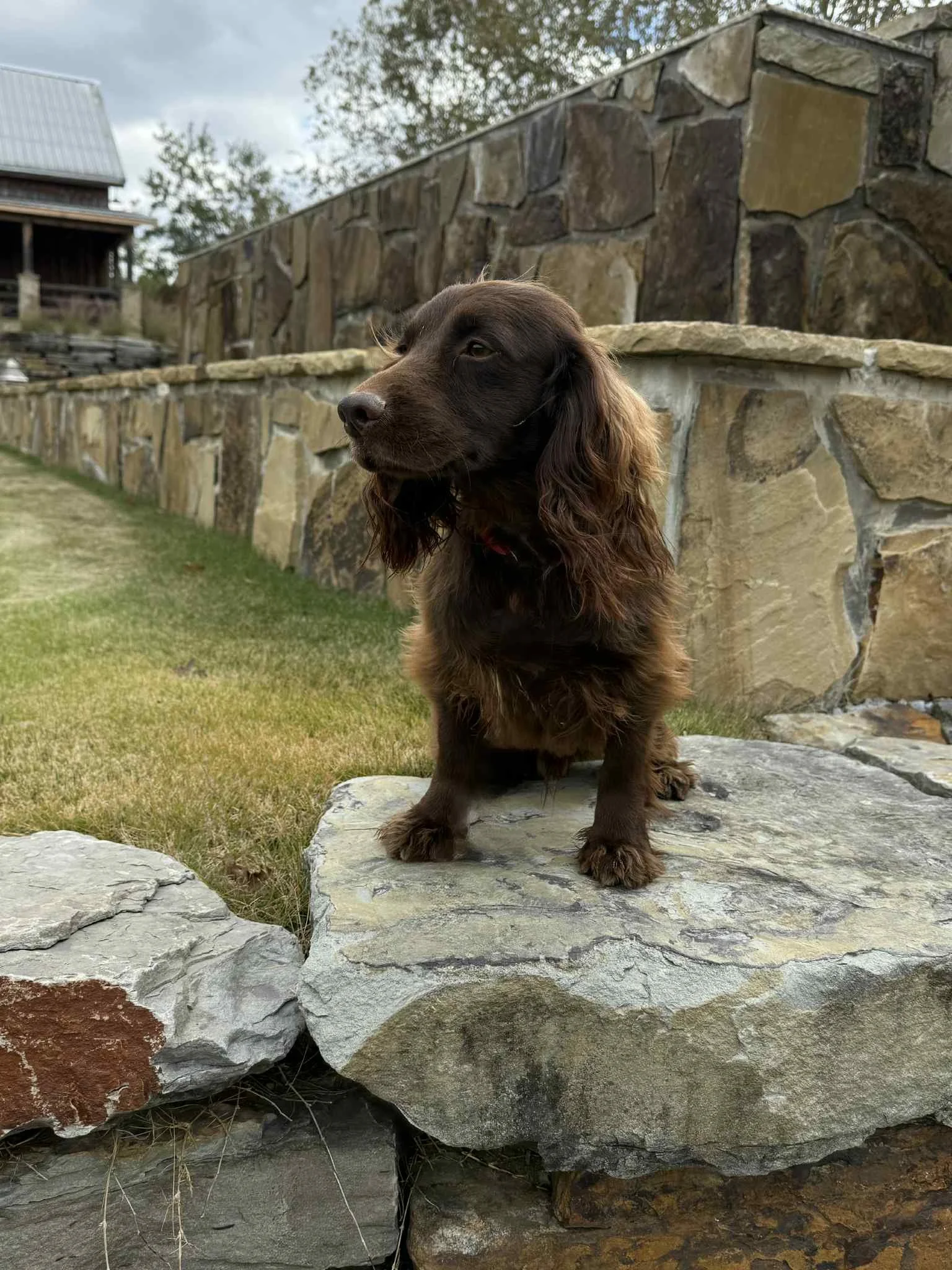 d6036cb0-de99-4b55-9716-16dcd318d49c.jfif