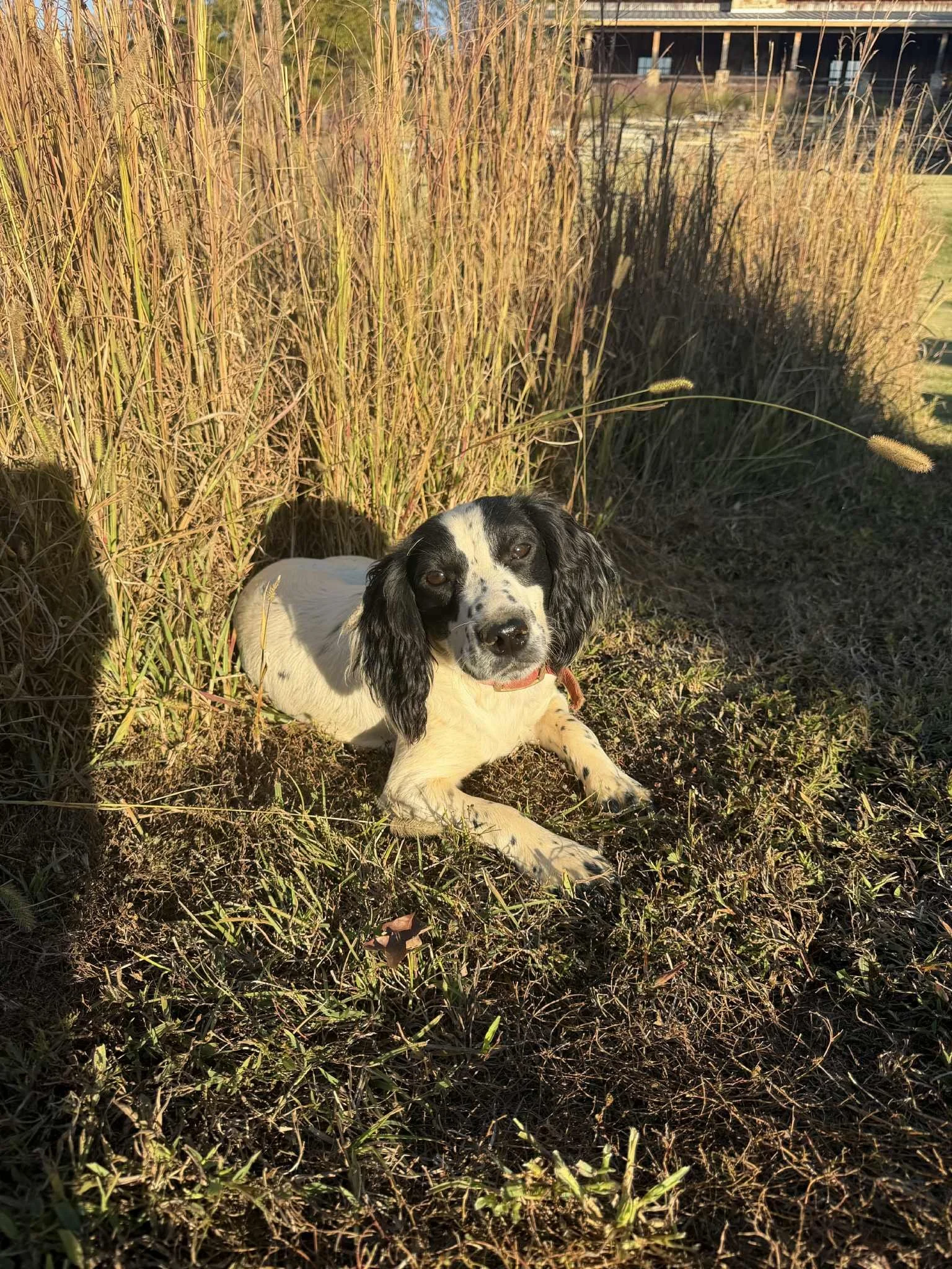 bfb82755-adc5-44c5-8372-29b1a12e9524.jfif