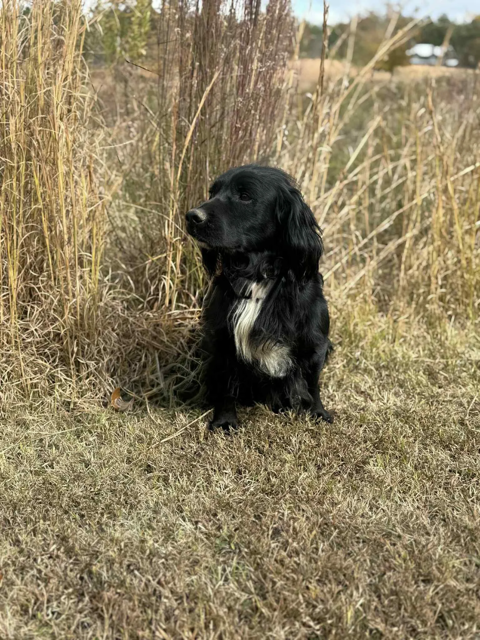 4b060e2e-c8dd-4737-8579-8baa3663c3e3.jfif