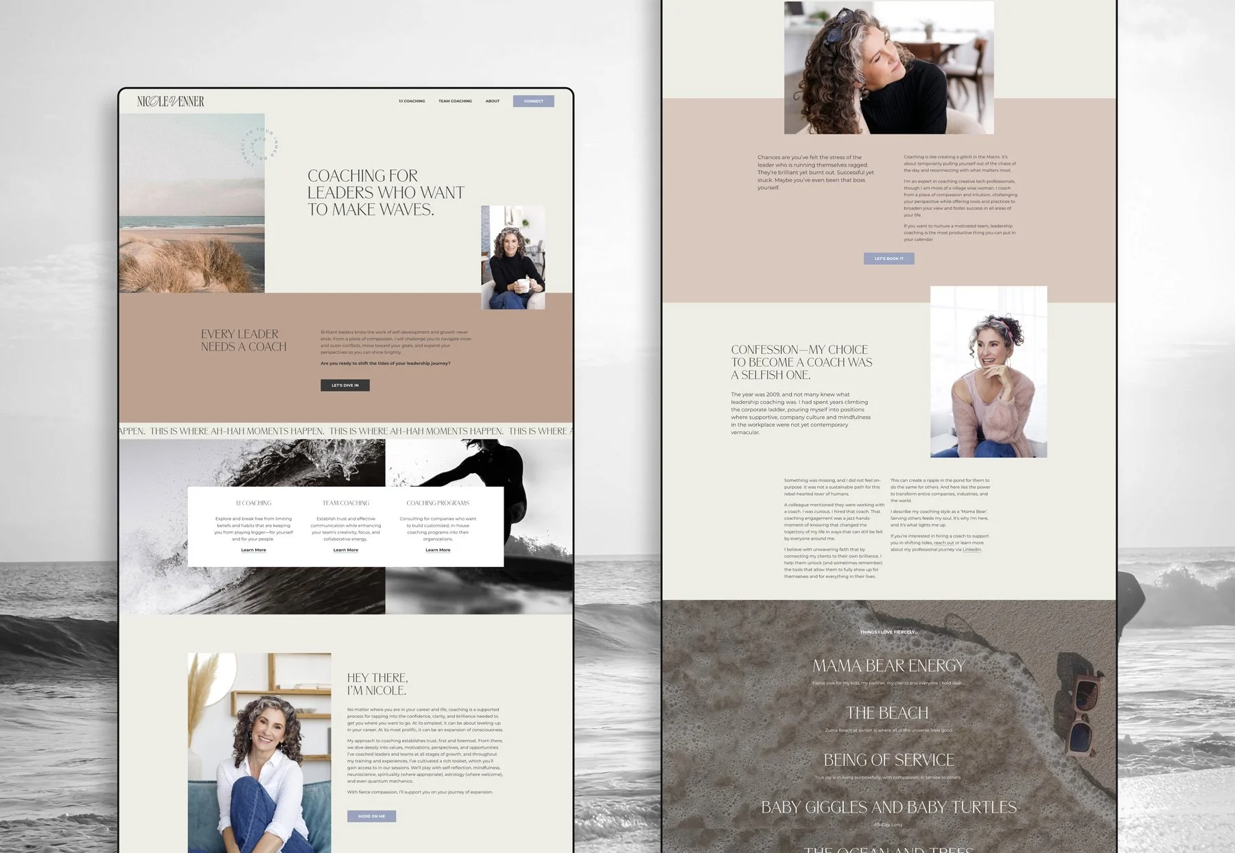 Moonstone+Portfolio+Nicole+Venner+Website+Mockup.jpg