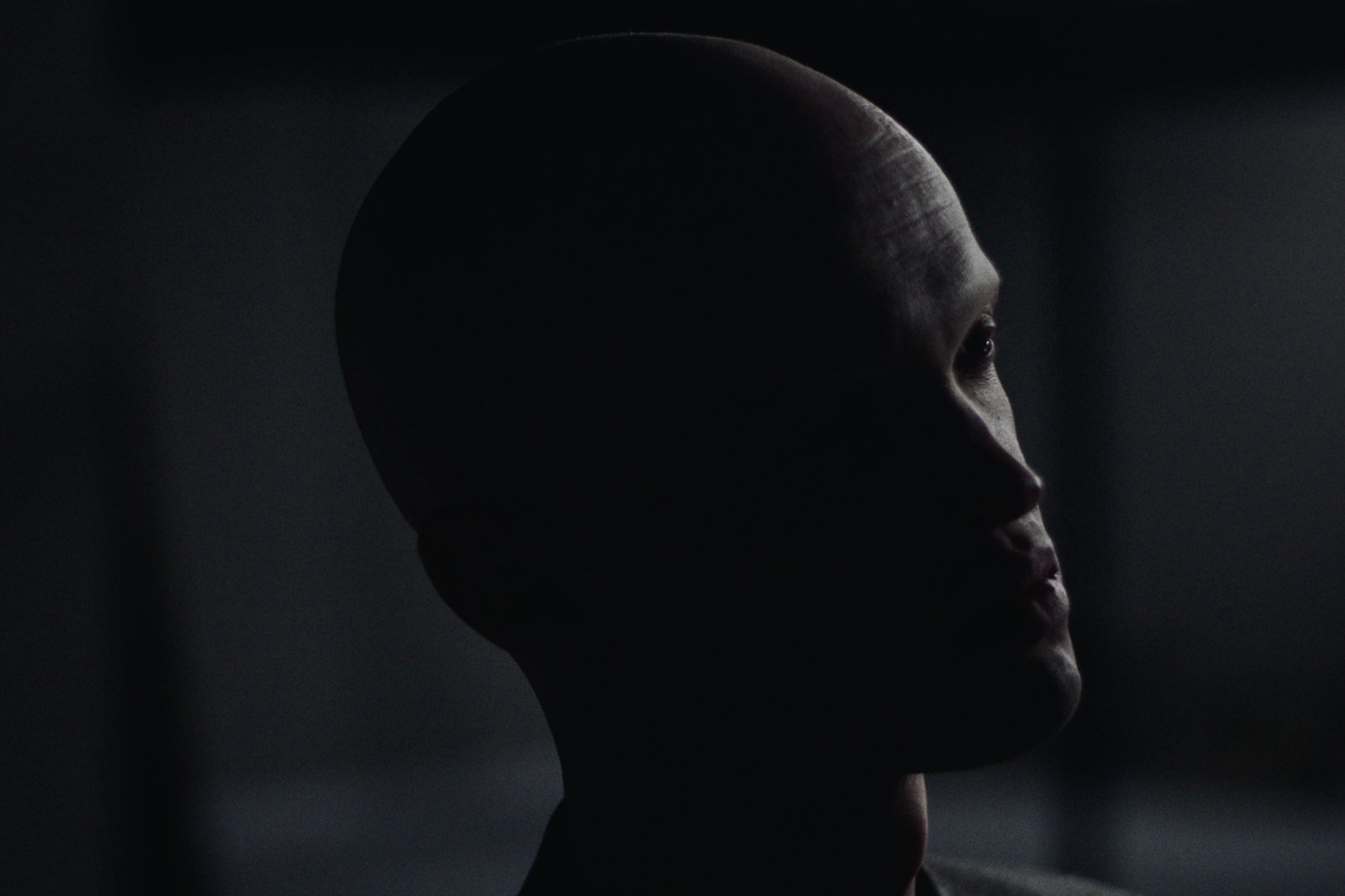 Still 2026-02-21 004833_1.19.1.jpg