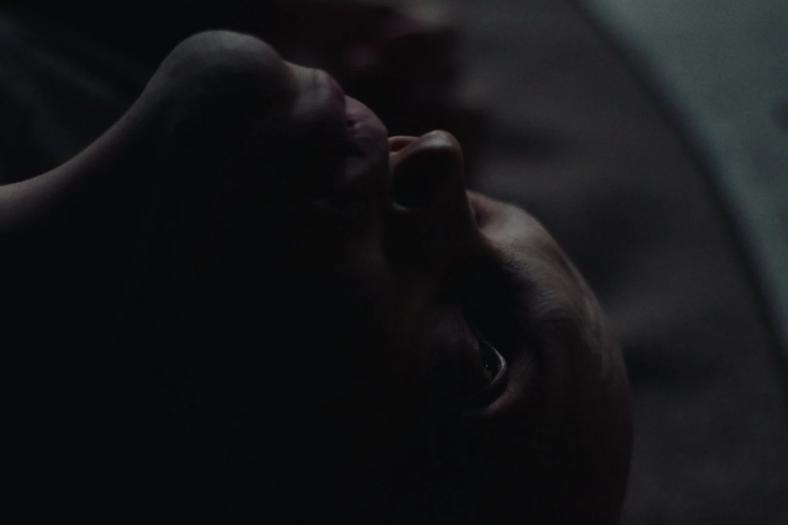 Still 2026-02-21 004833_1.9.1.jpg