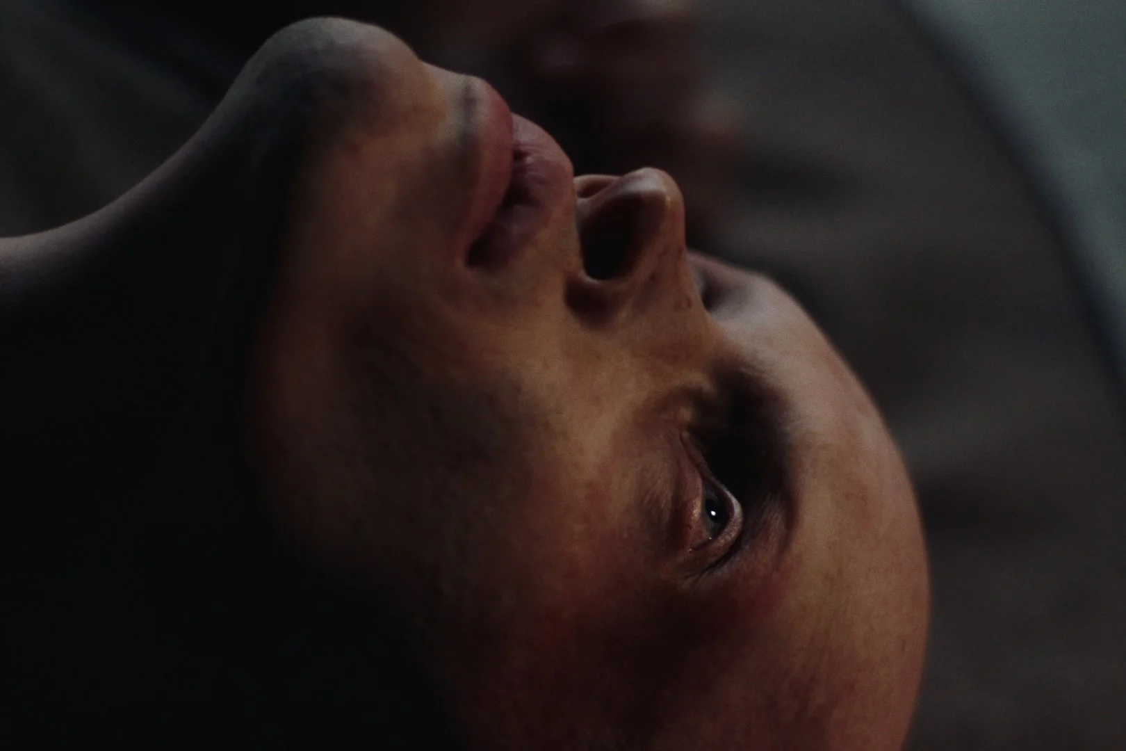 Still 2026-02-21 004833_1.9.2.jpg