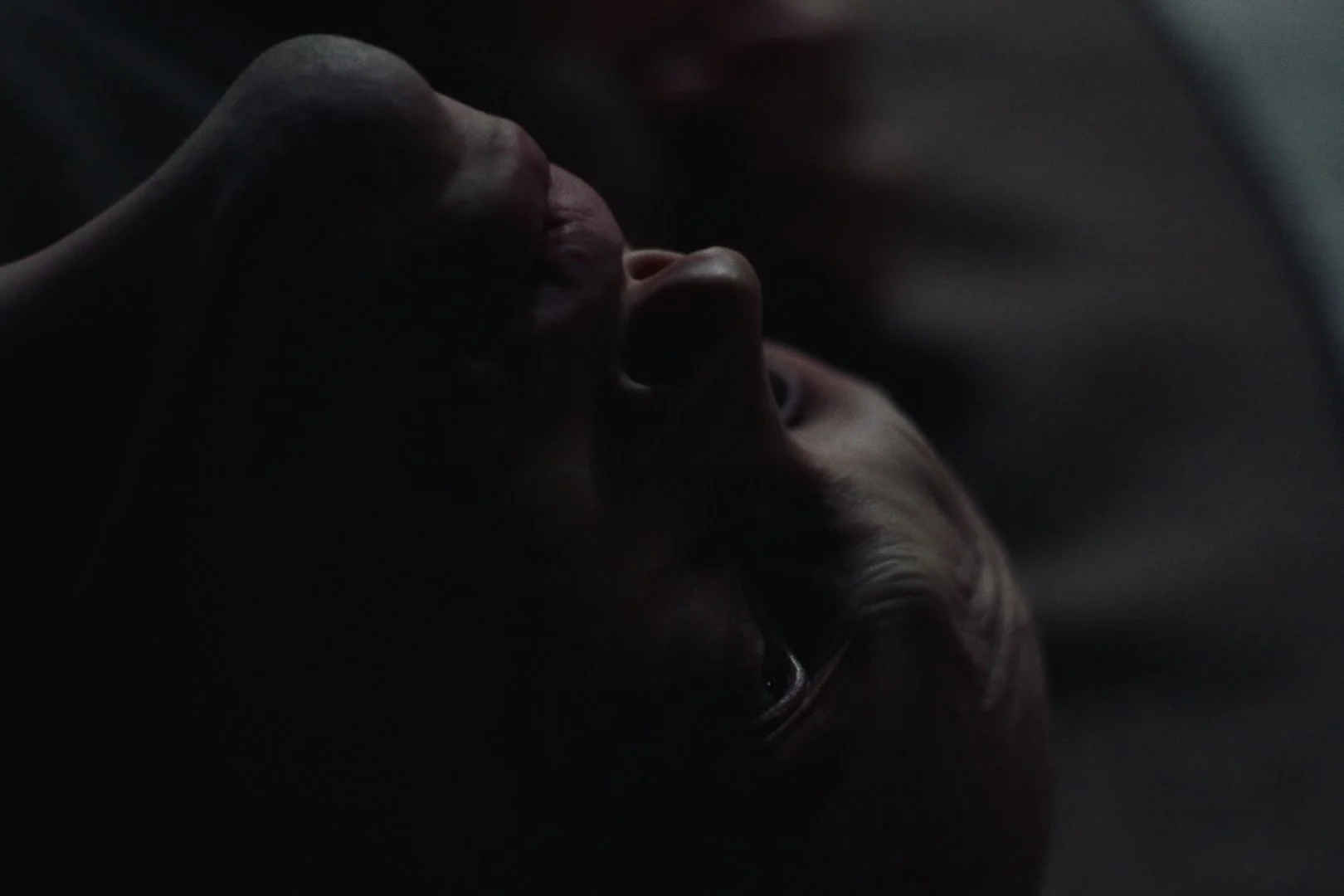 Still 2026-02-21 004833_1.9.5.jpg