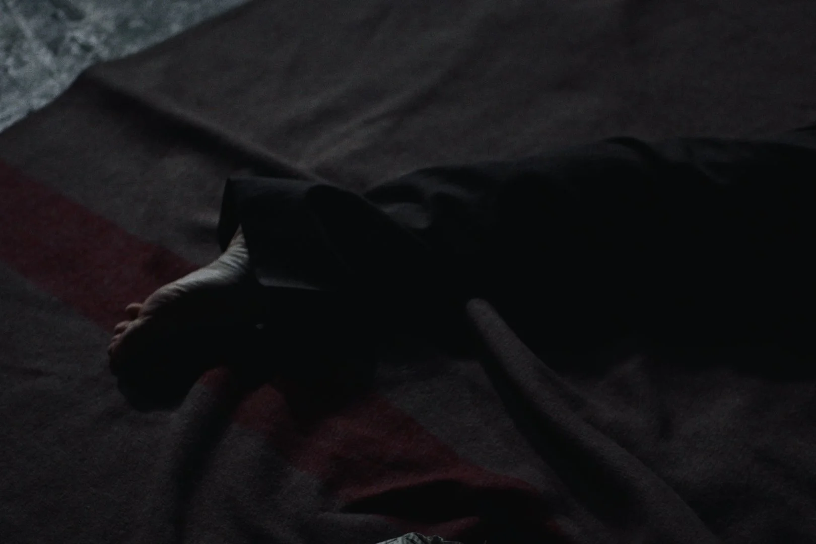 Still 2026-02-21 004833_1.14.1.jpg