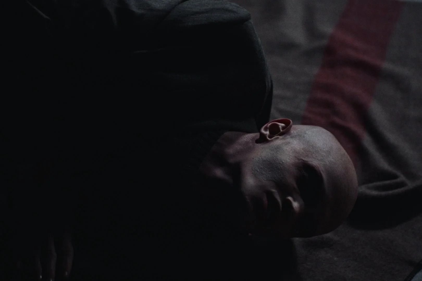 Still 2026-02-21 004833_1.13.1.jpg