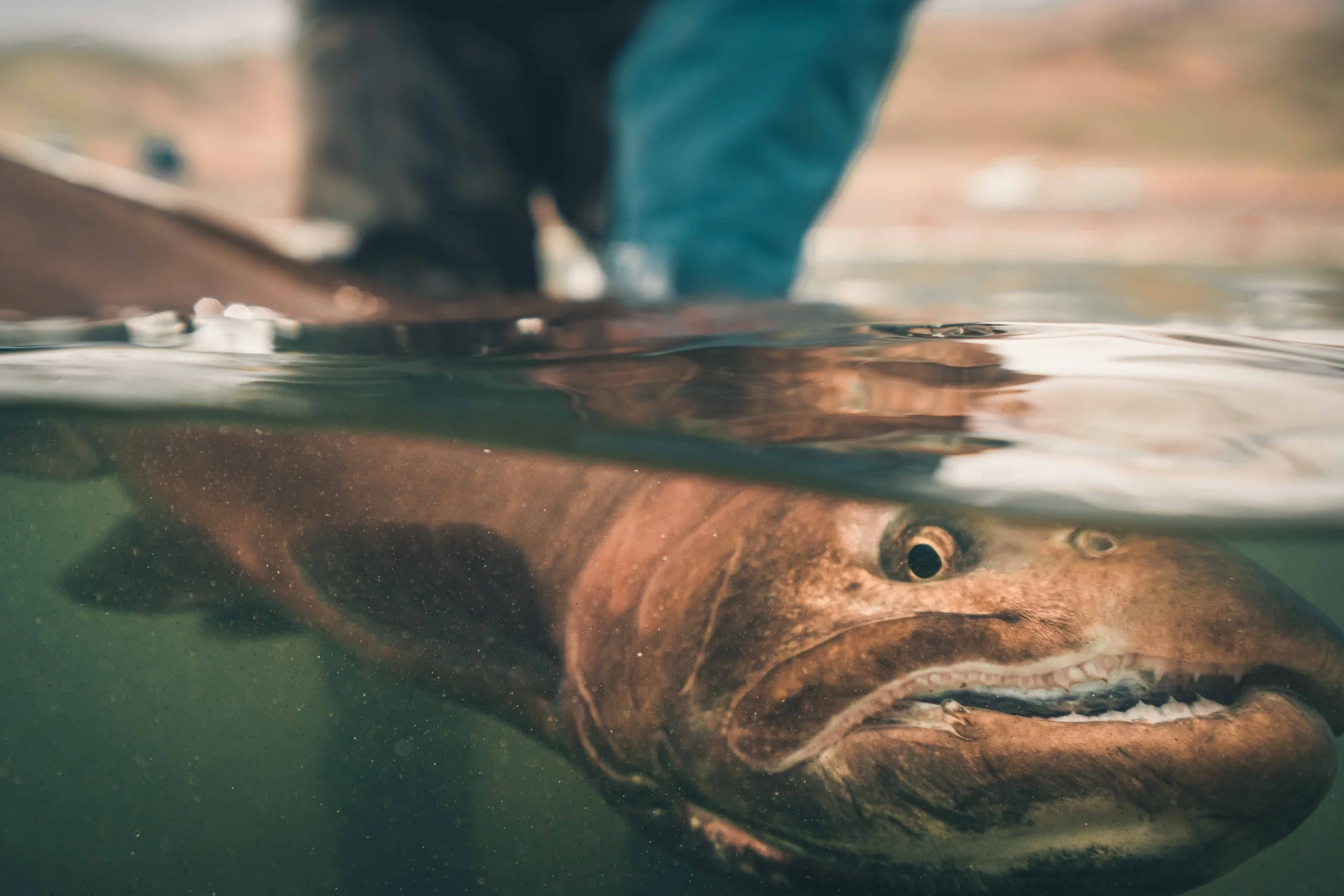 Fly Fishing-1.jpg