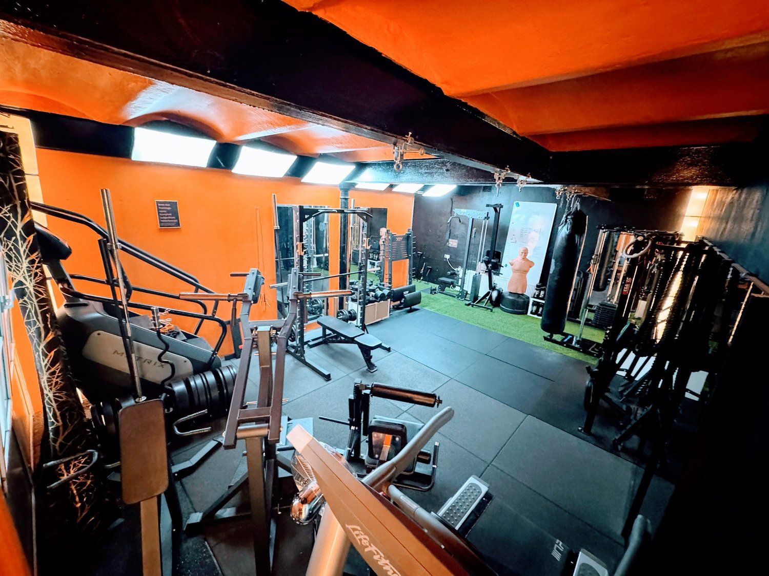 Blick in den privaten Trainingsraum Power Gym mit Kraftgeräten und Kunstrasen