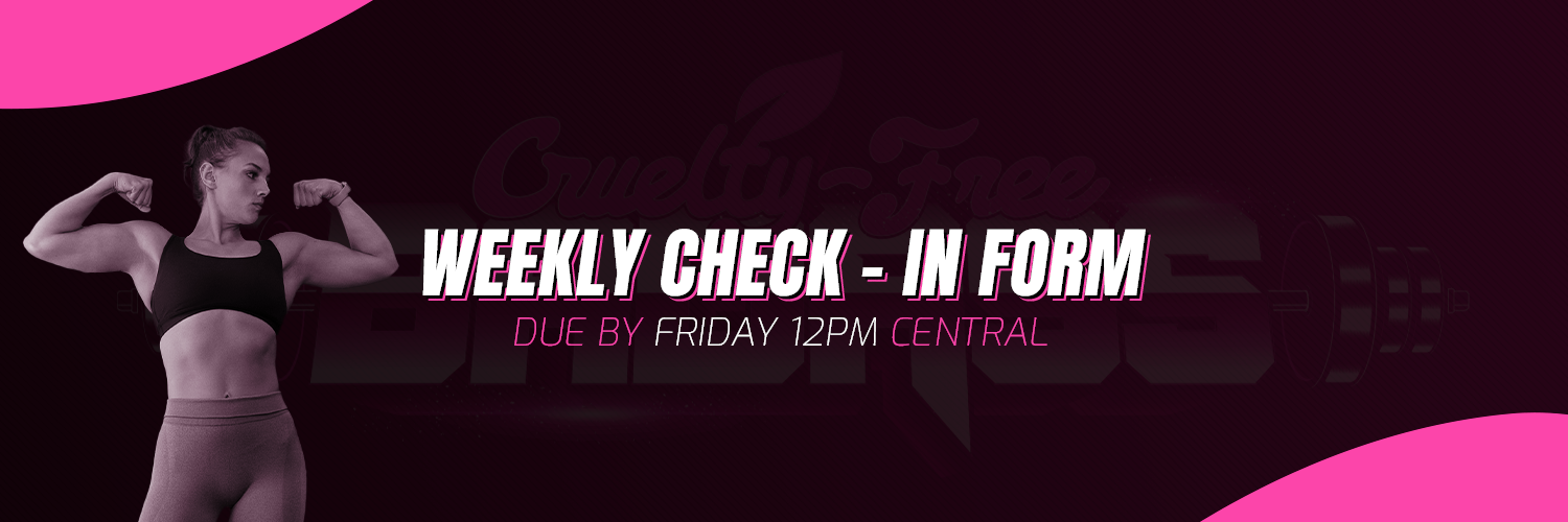 KCV_WEBSITE_HEADER_REV_2.png