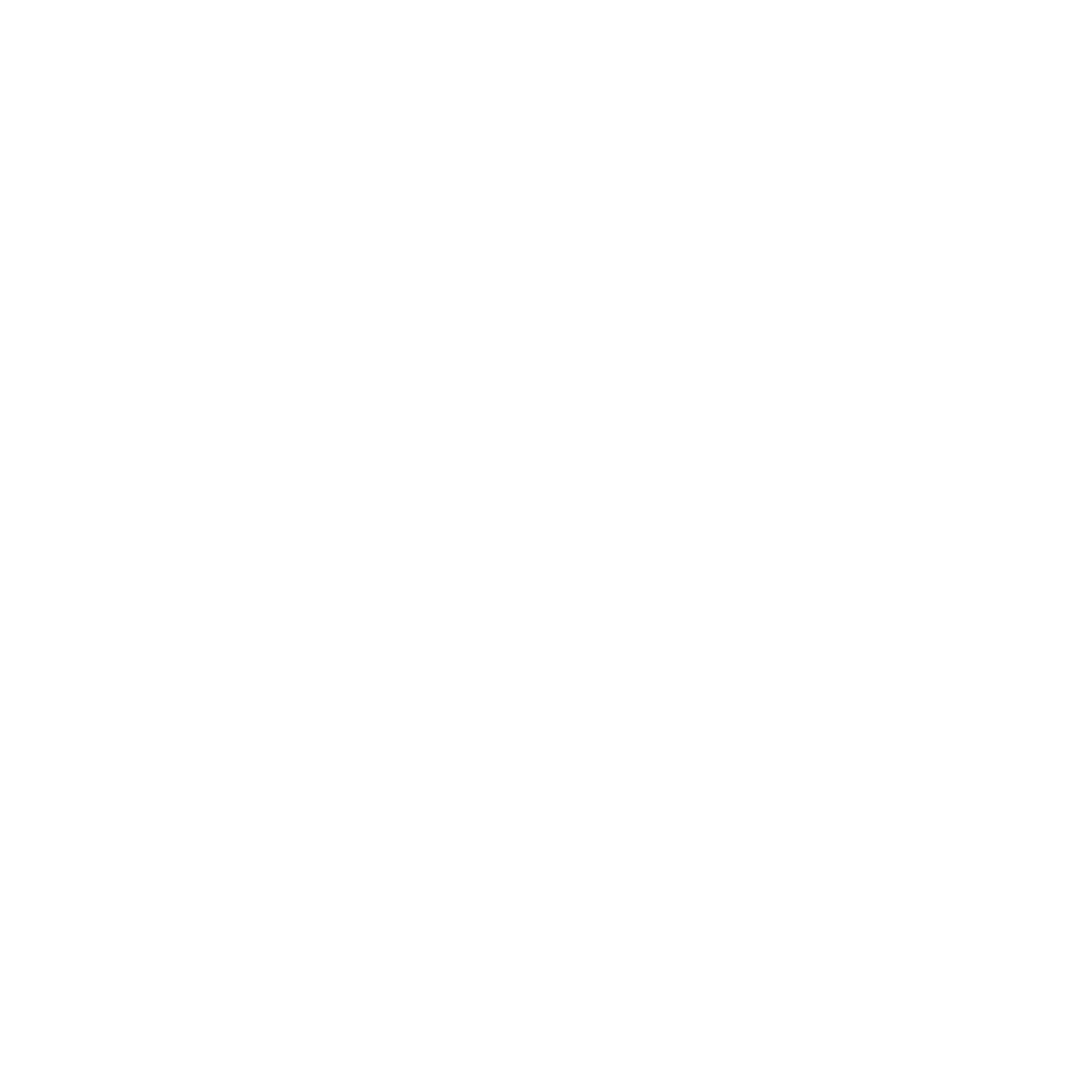 Witness Investment