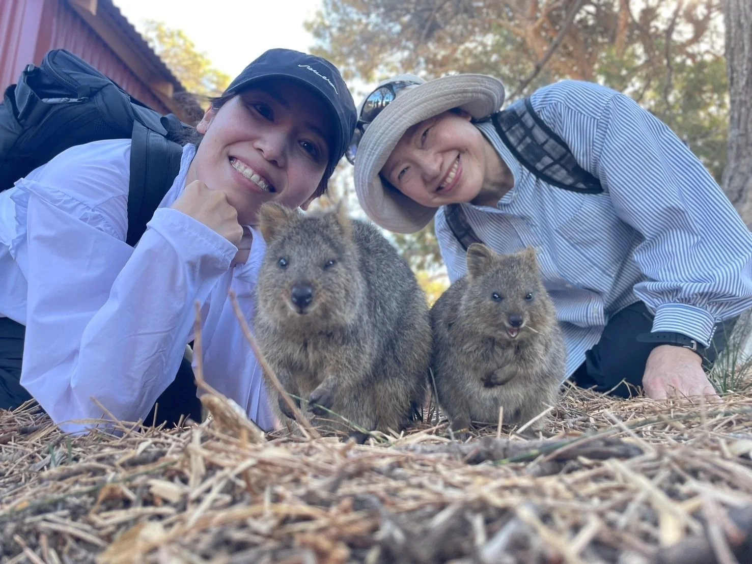 おまかせツアー