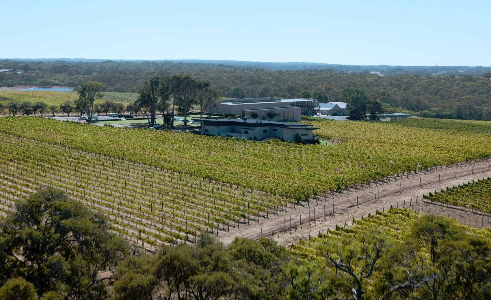 空からめぐる　至福の１日　ロットネスト島＆マーガレットリバー