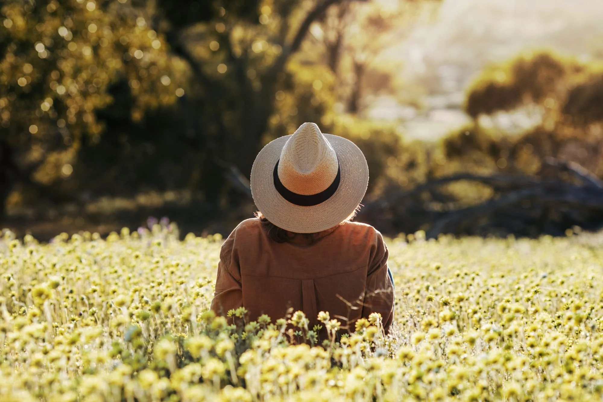 Wildflower country 3.jpg