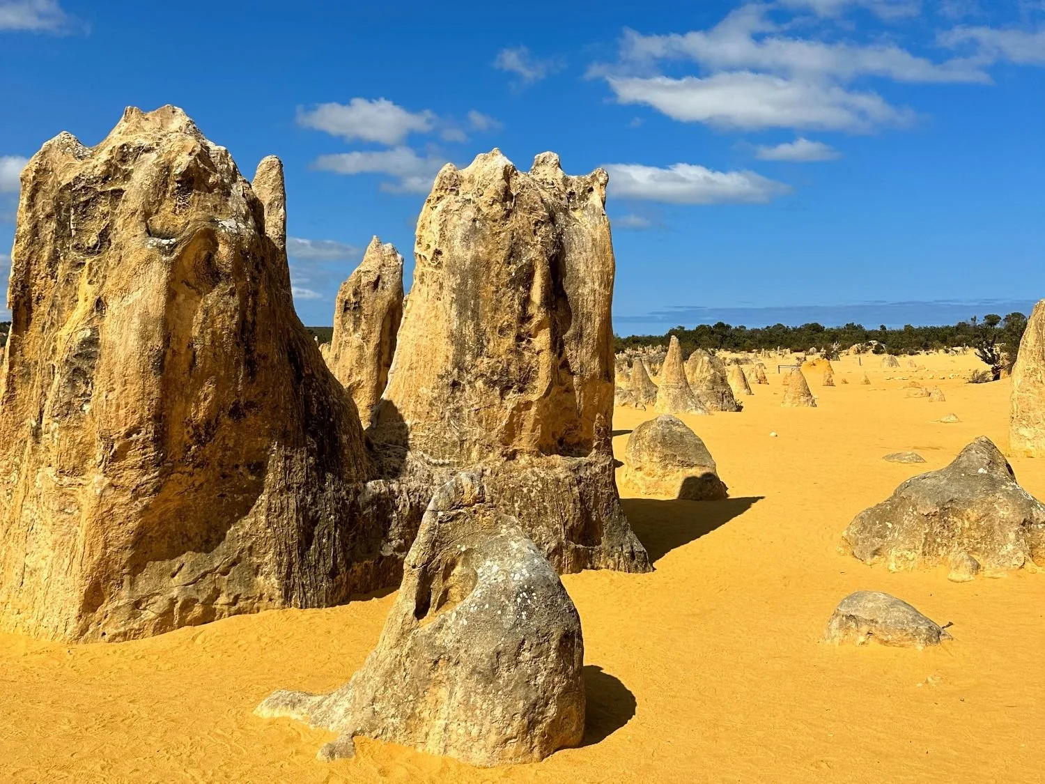 寺田桃子Pinnacles1.jpg