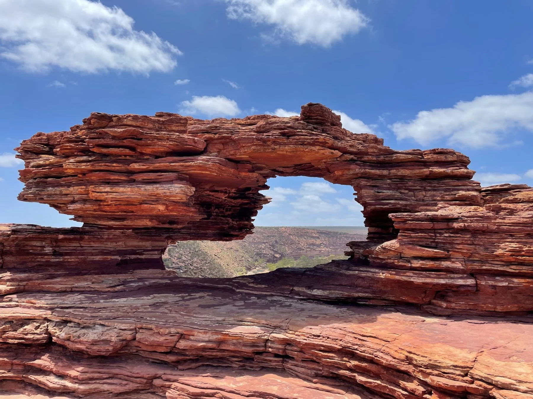Natureswindow.jpg
