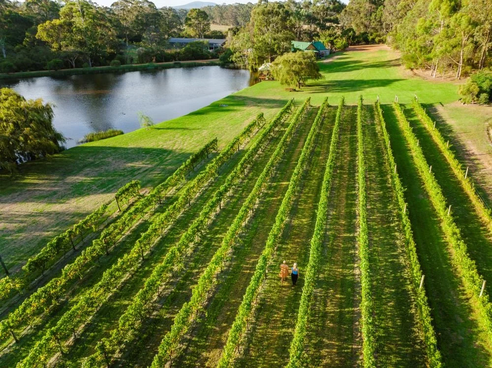 Leeuwin Estate 5.jpg