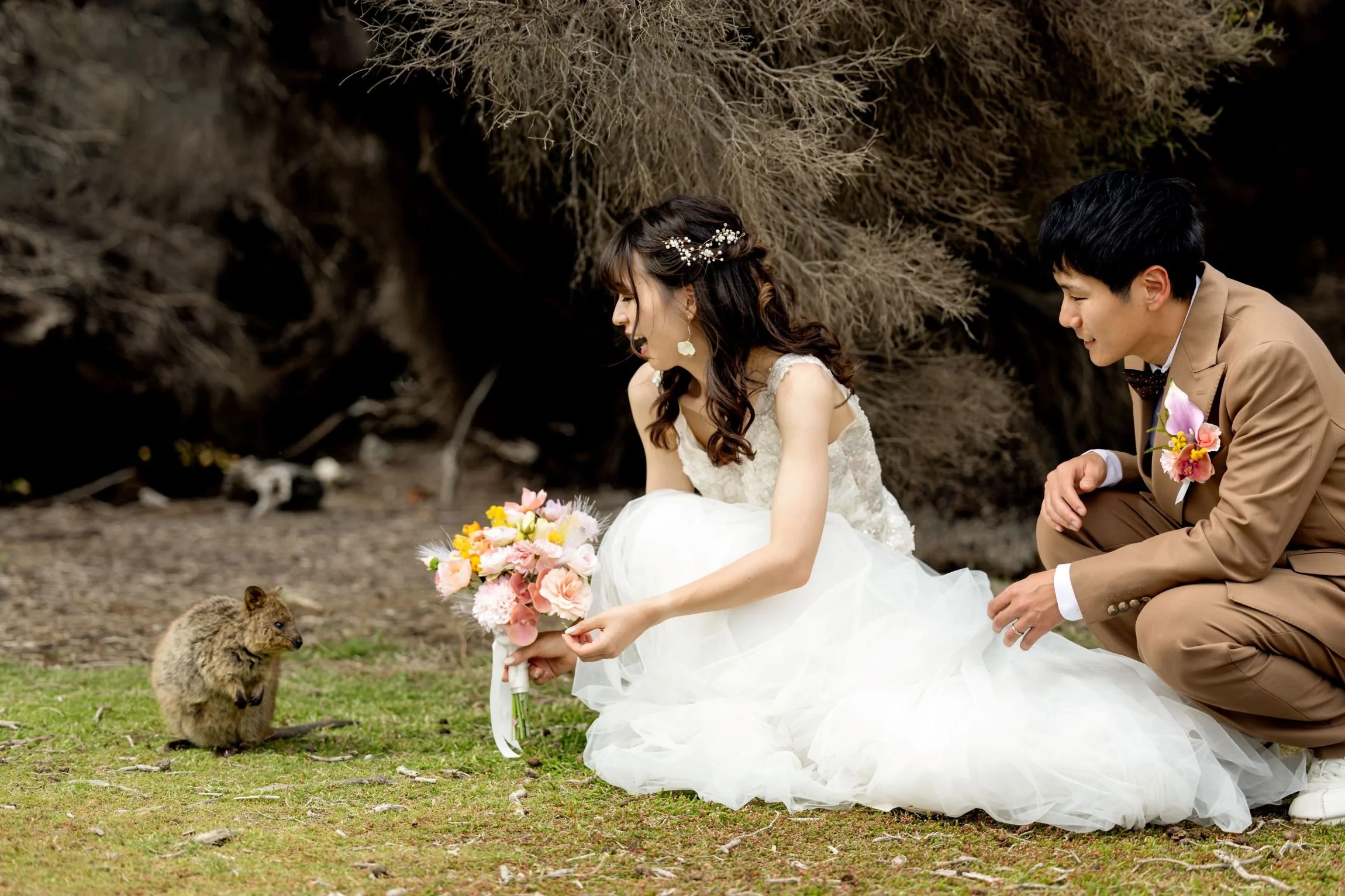 ロットネスト島　メモリアルフォトツアー
