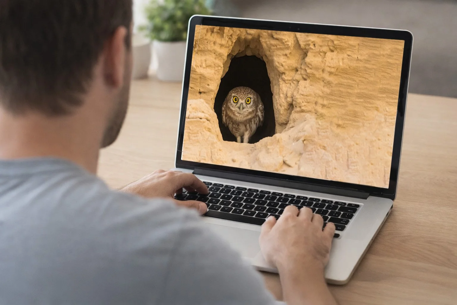 moc cave Man viewing owl photograph on laptop copy.jpg