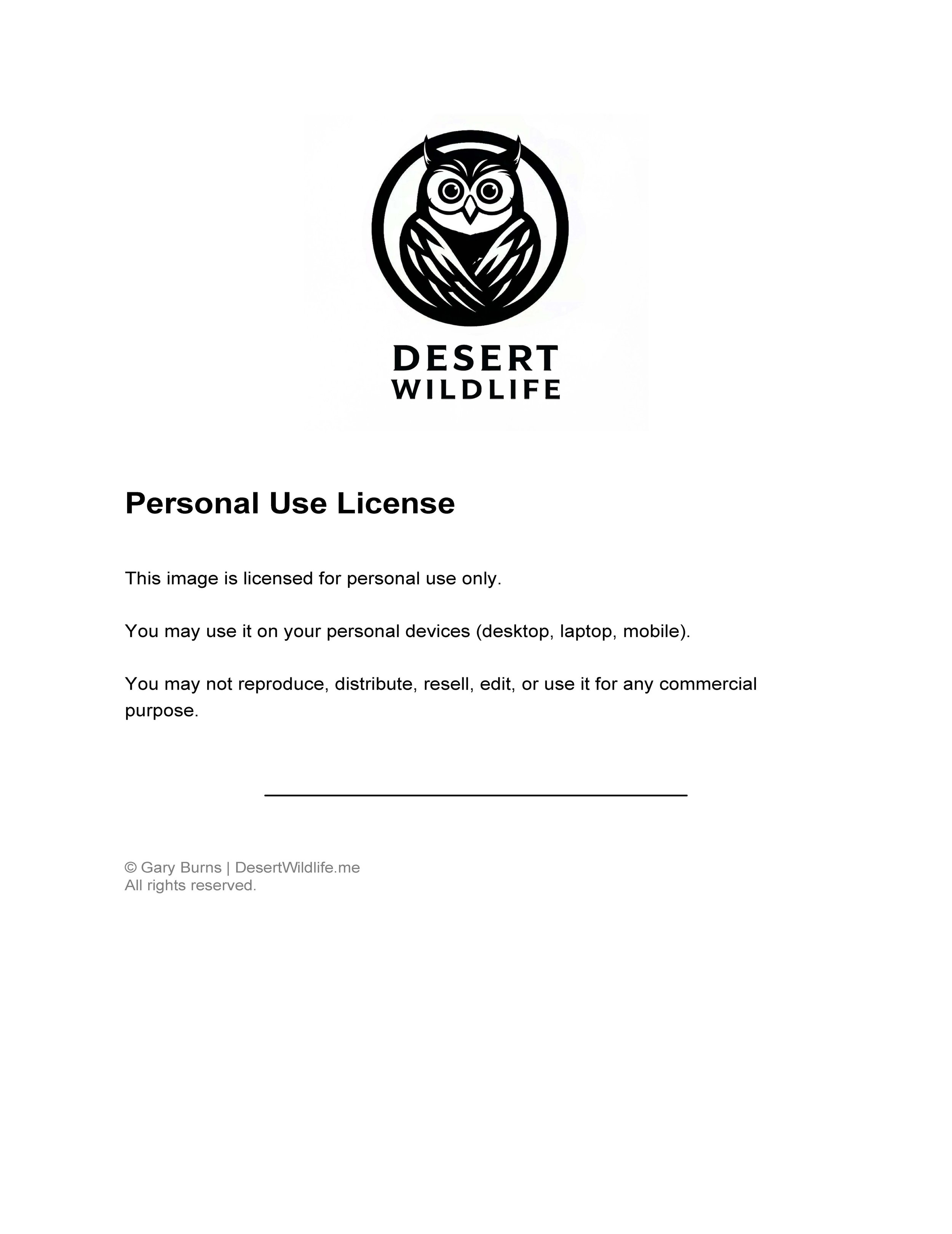 DesertWildlife_Personal_Use_License.jpg
