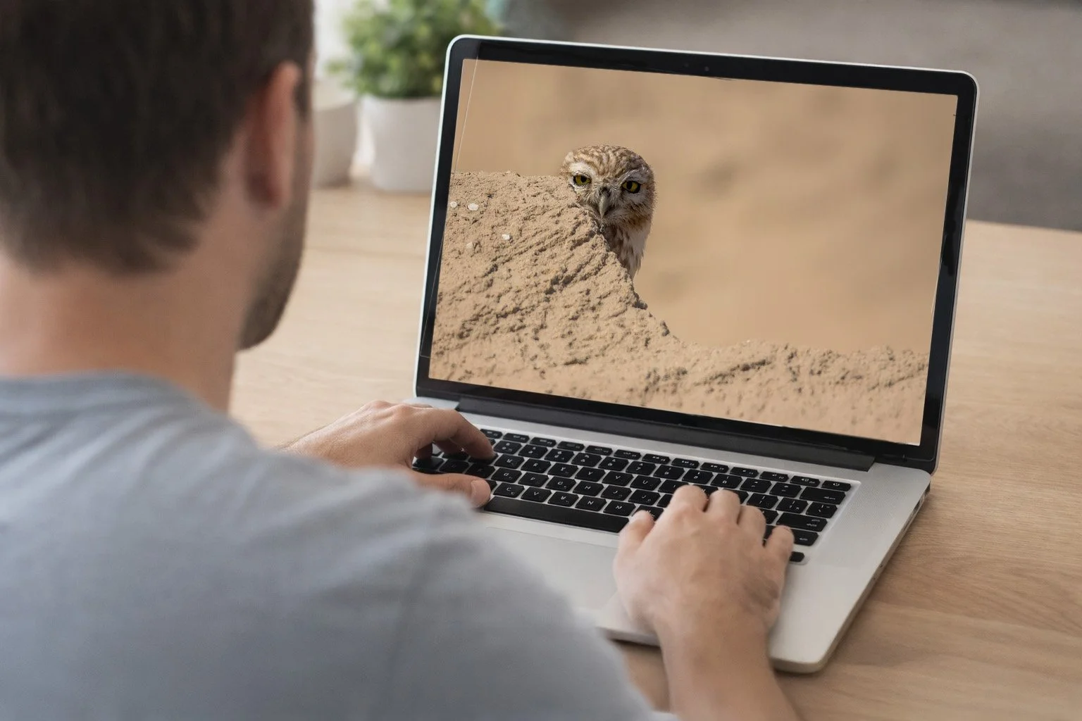 moc peeping Man viewing owl photograph on laptop copy.jpg