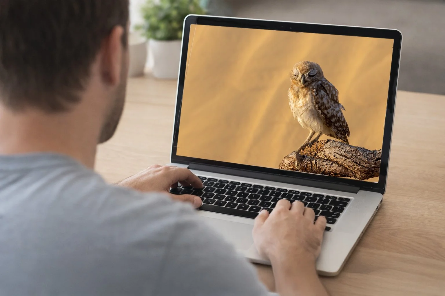 moc Man viewing owl photograph on laptop copy.jpg