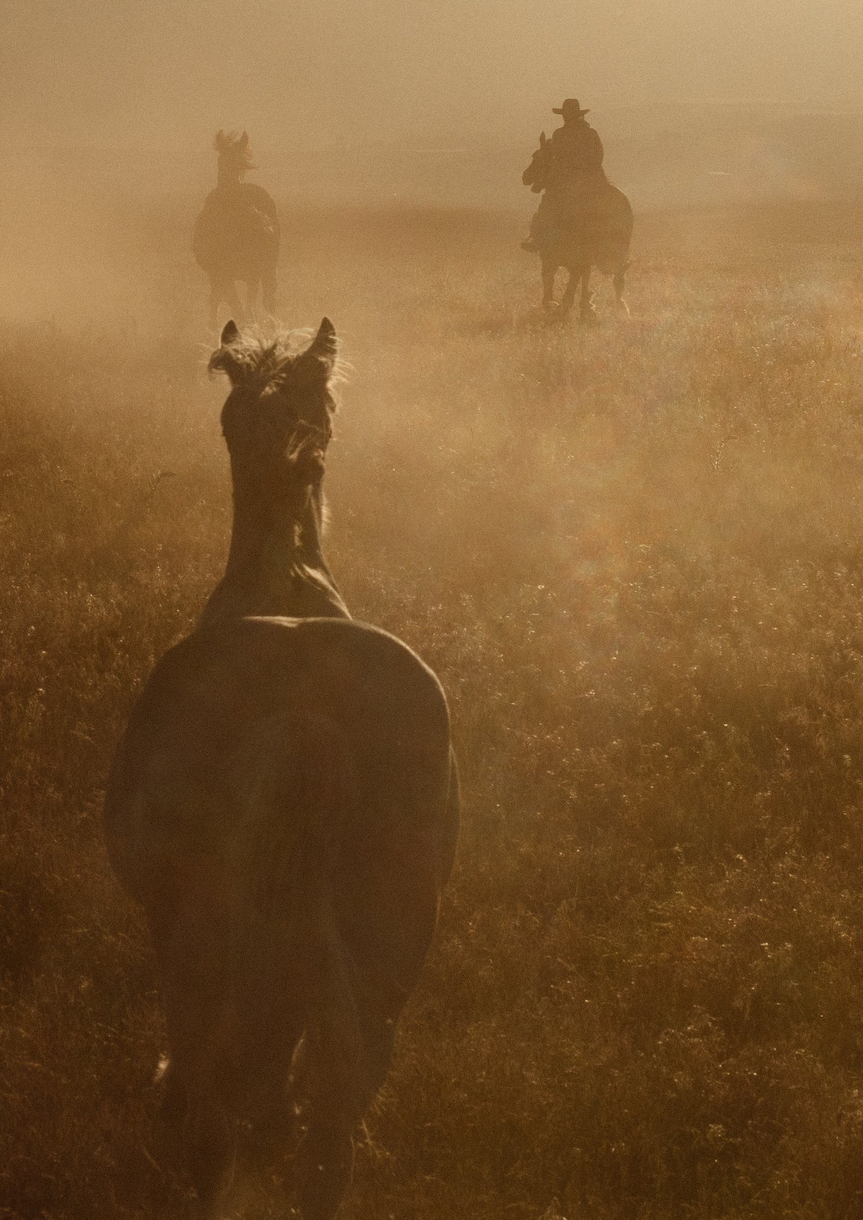 Francine Boer photography portfolio image 8