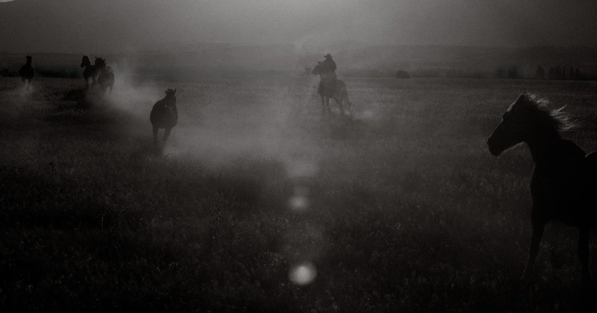 Dust was a personal body of work, about a longing to freedom, the connection to the land and what lingers.

I have 15 final prints remaining.

This is the closing chapter of the series. Once they&rsquo;re gone, that&rsquo;s it.

Available via the lin