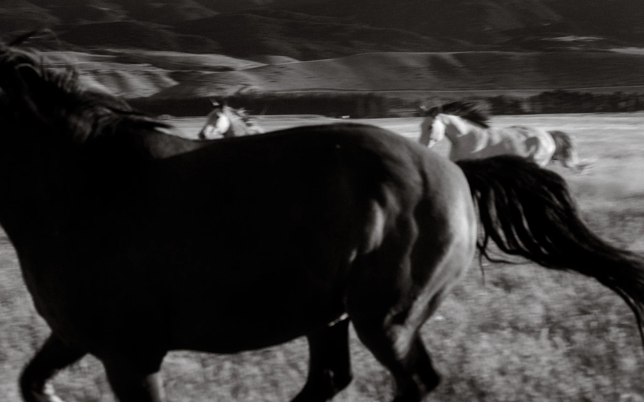 Before moving into my next body of work, it feels important to let Dust finish properly.

This project taught me to find a deeper connection with the land and its importance and started an amazing flow of more personal projects.

There are a few fina