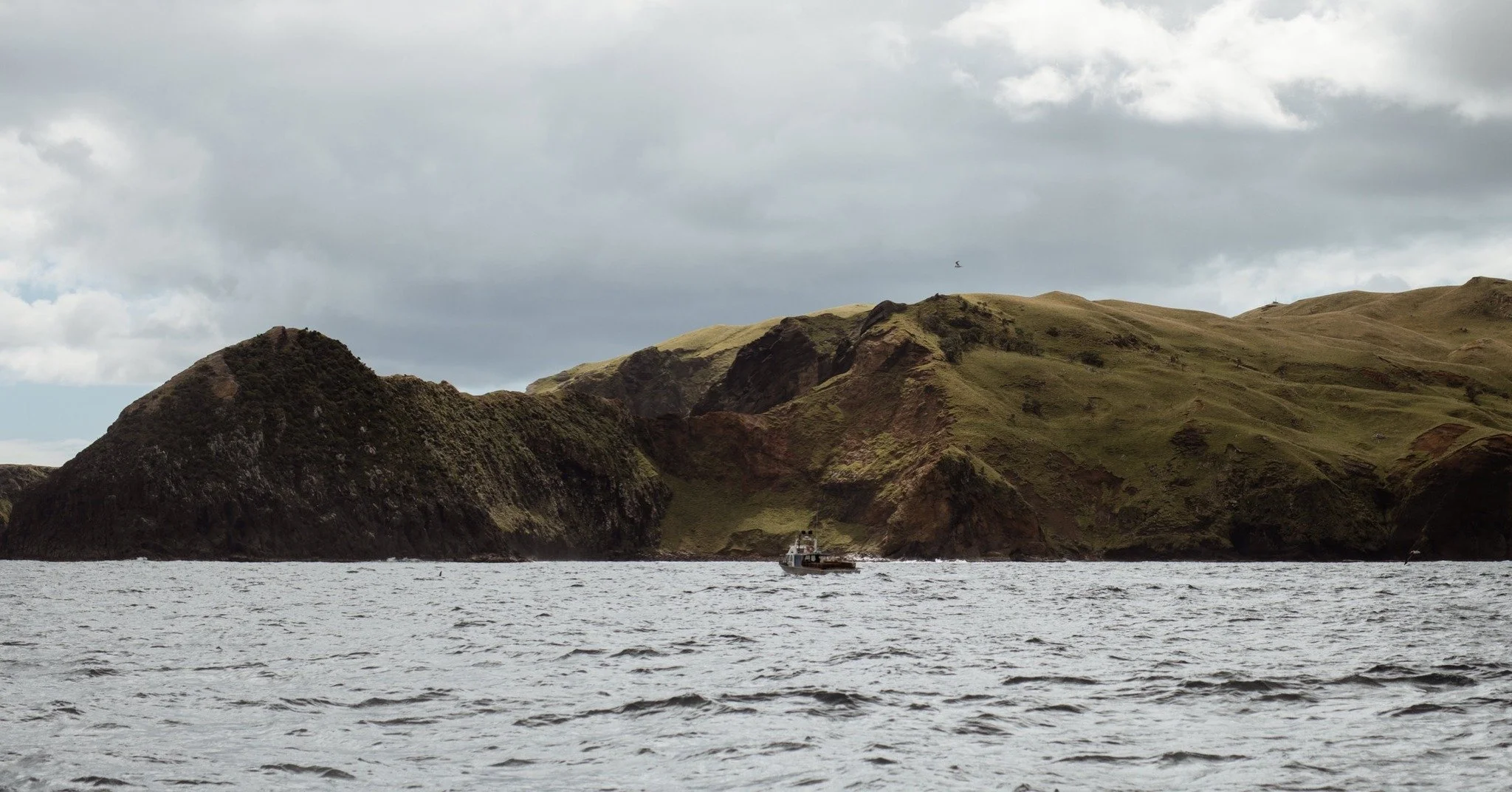 Pitt Island's continuous edge