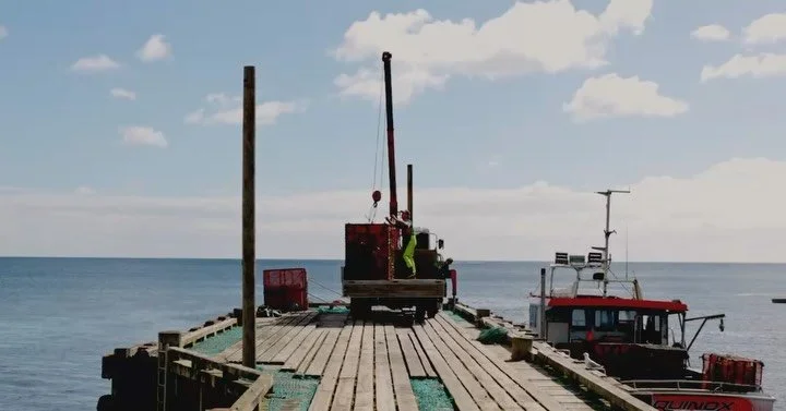 Seconds on the Chathams ✨