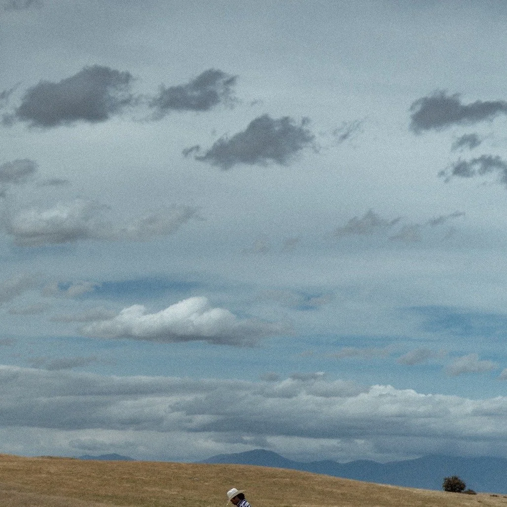Central Otago fragment