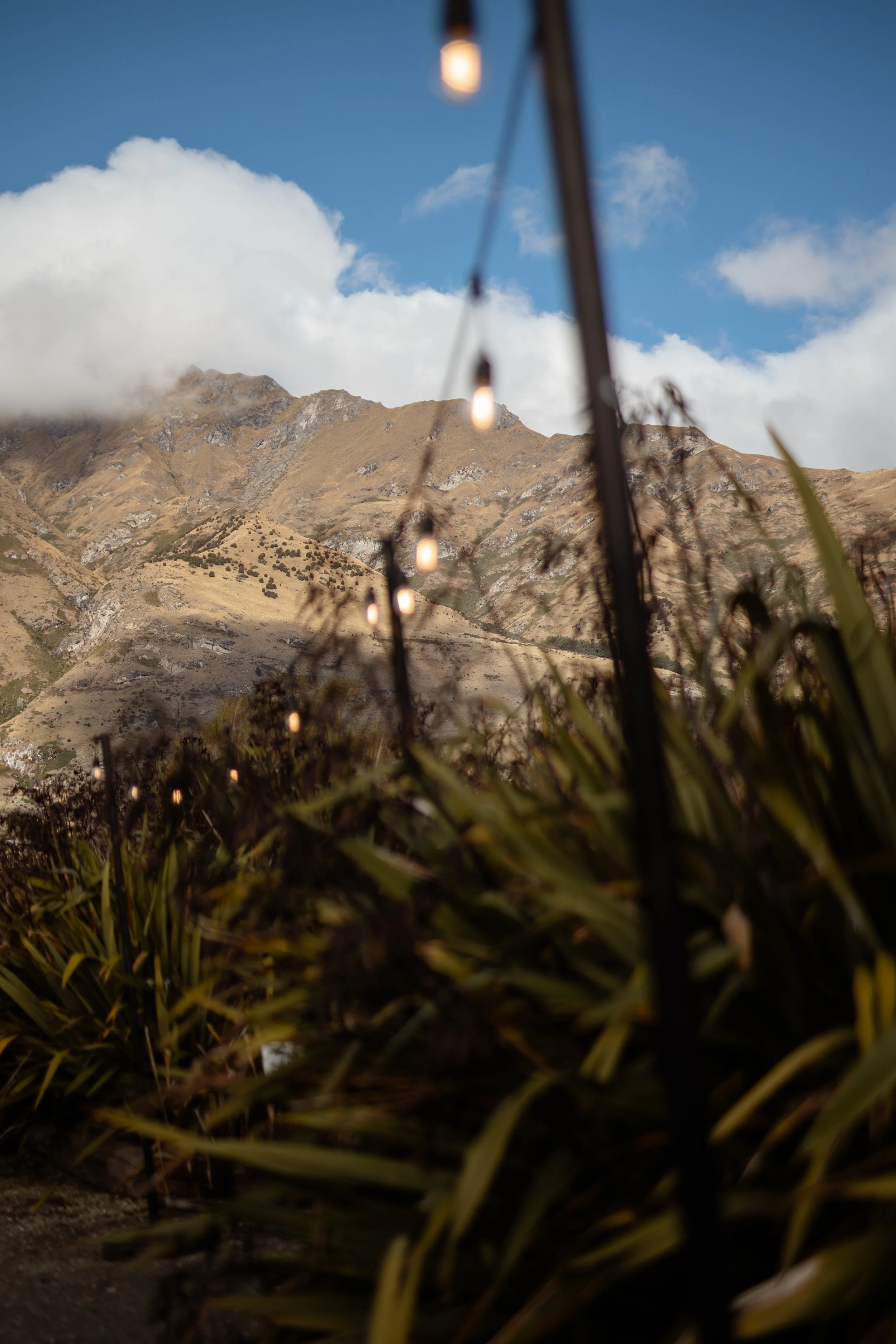 Francine Boer Photography- LYNDAL-CRAIG440.JPG