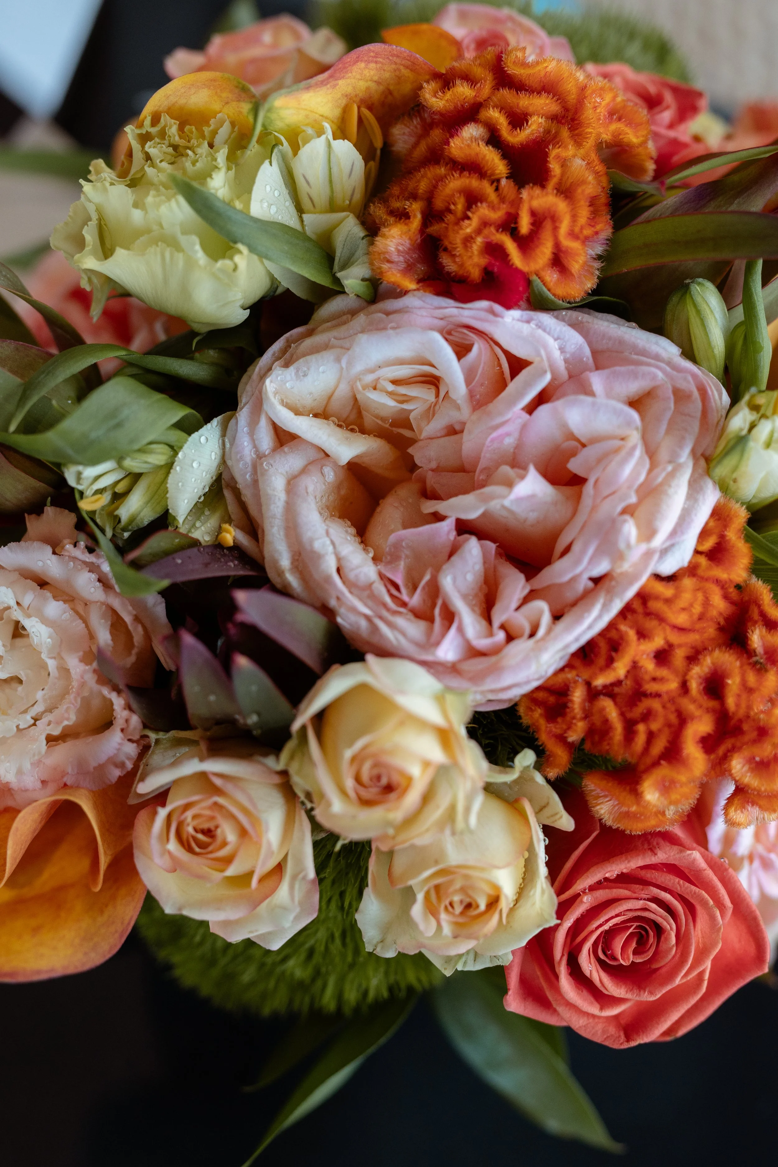 Francine Boer Photography -hannah brandon preview002.JPG