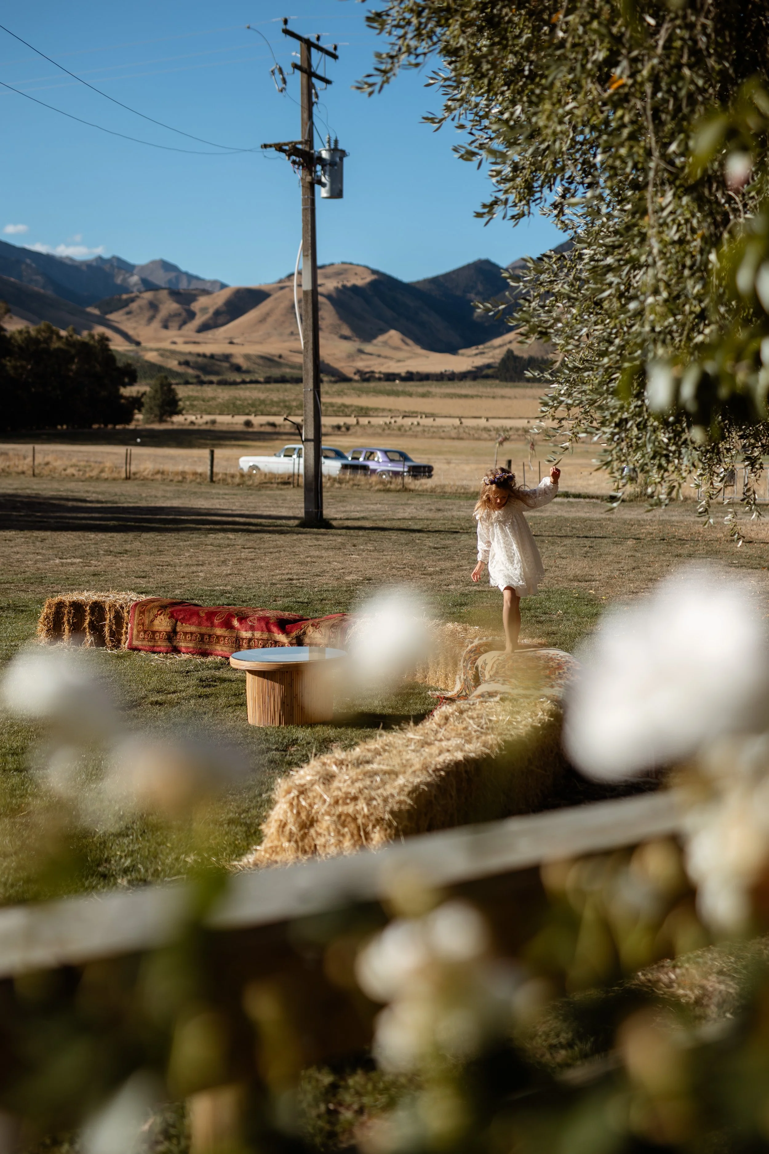 Francine Boer Photography -ABI-JAKE1086.JPG