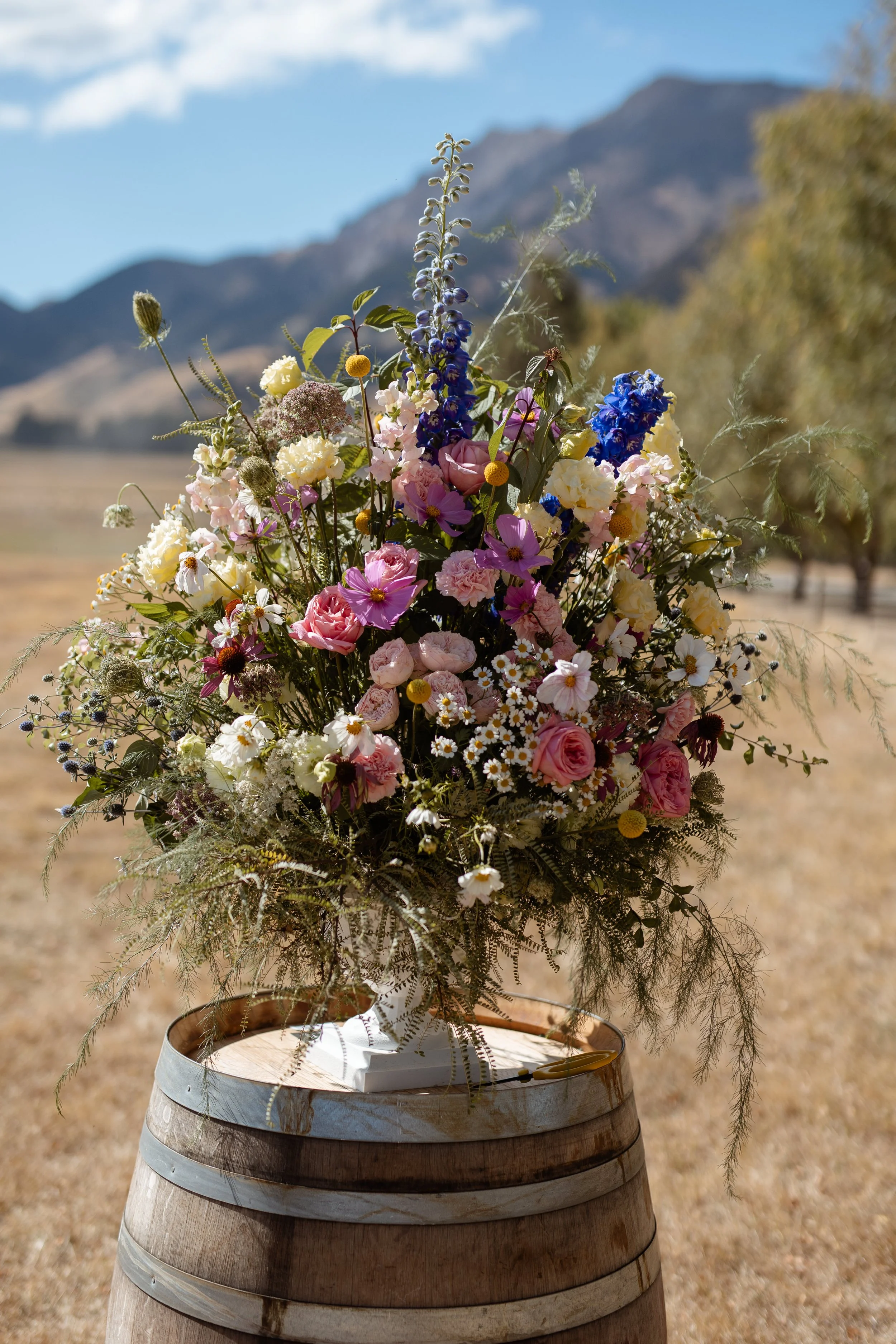 Francine Boer Photography -ABI-JAKE480.JPG