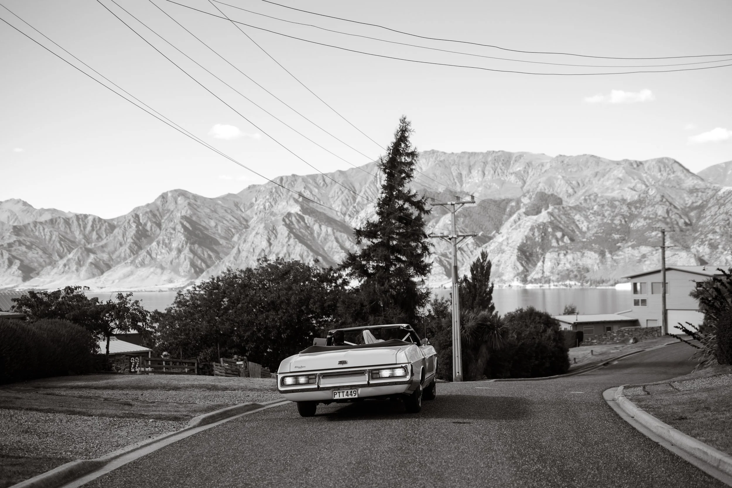 Francine Boer Photography -MINTY-TEAWA720.JPG