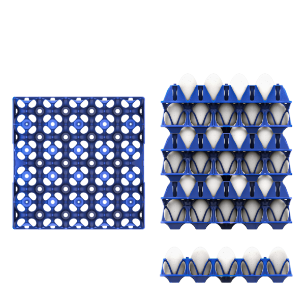 Trays-20-Uova_Viste-Composte-600x600.png