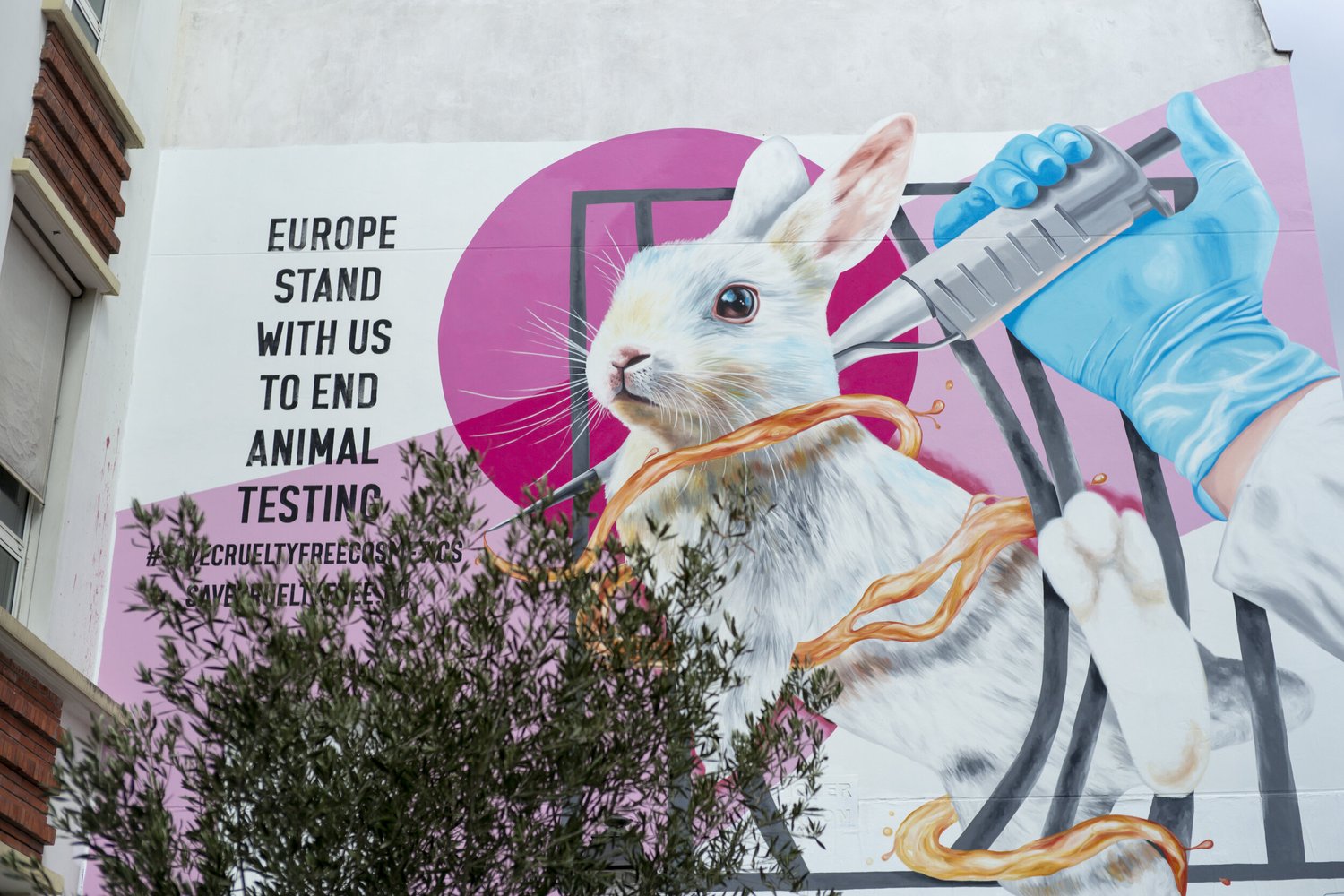 Dove and The Body Shop partner to protect ban on animal testing in  cosmetics — Halpern
