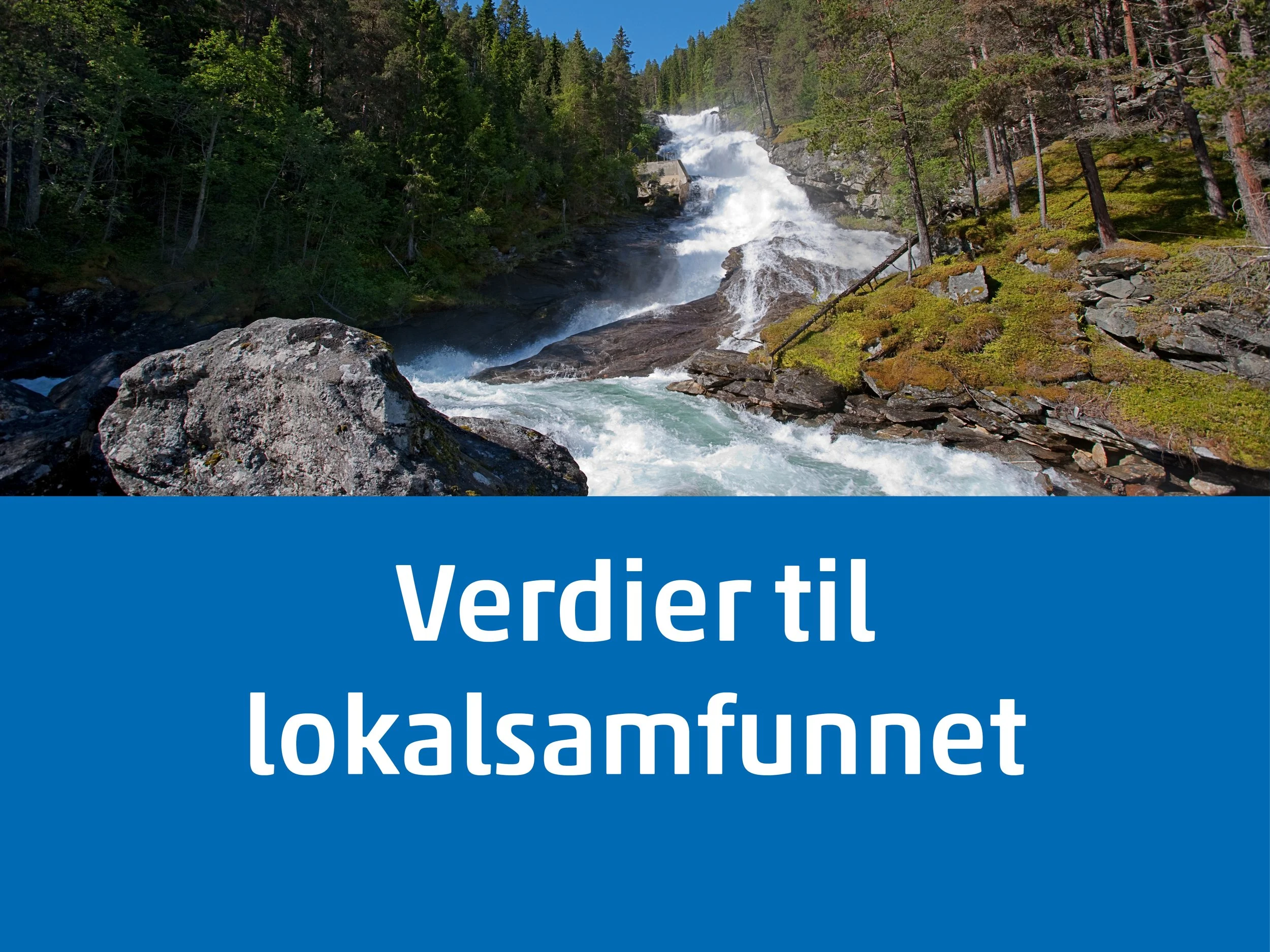 Støtter lokal handel